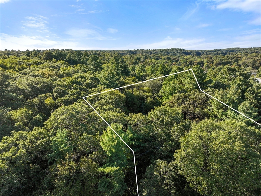 Weston, Massachusetts, 02493, United States, 4 Bedrooms Bedrooms, ,3 BathroomsBathrooms,Residential,For Sale,1989390