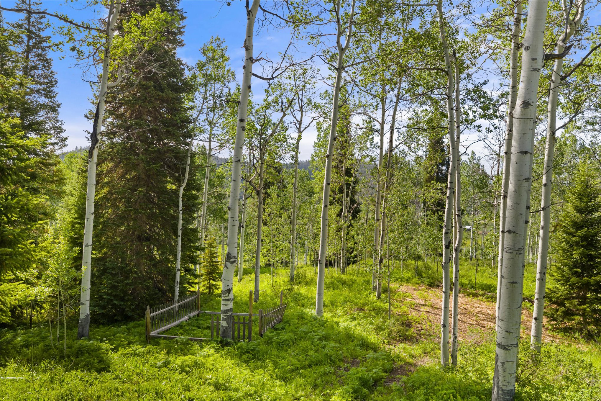  59820 Elkhorn Drive, Steamboat Springs, CO, 80428 - 物件實景