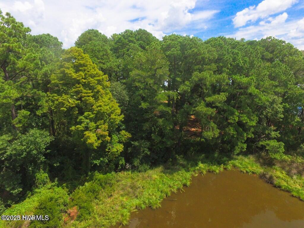 Bath, North Carolina, 27808, United States, ,Land,For Sale,1895409