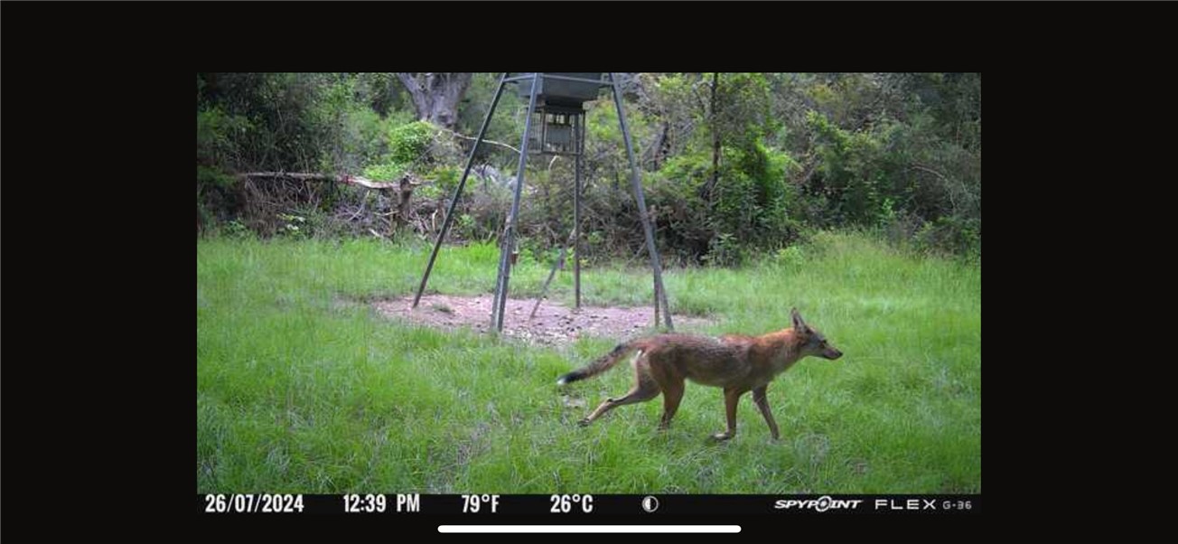 Thornton, Texas, 76687, United States, ,Land,For Sale,2003074