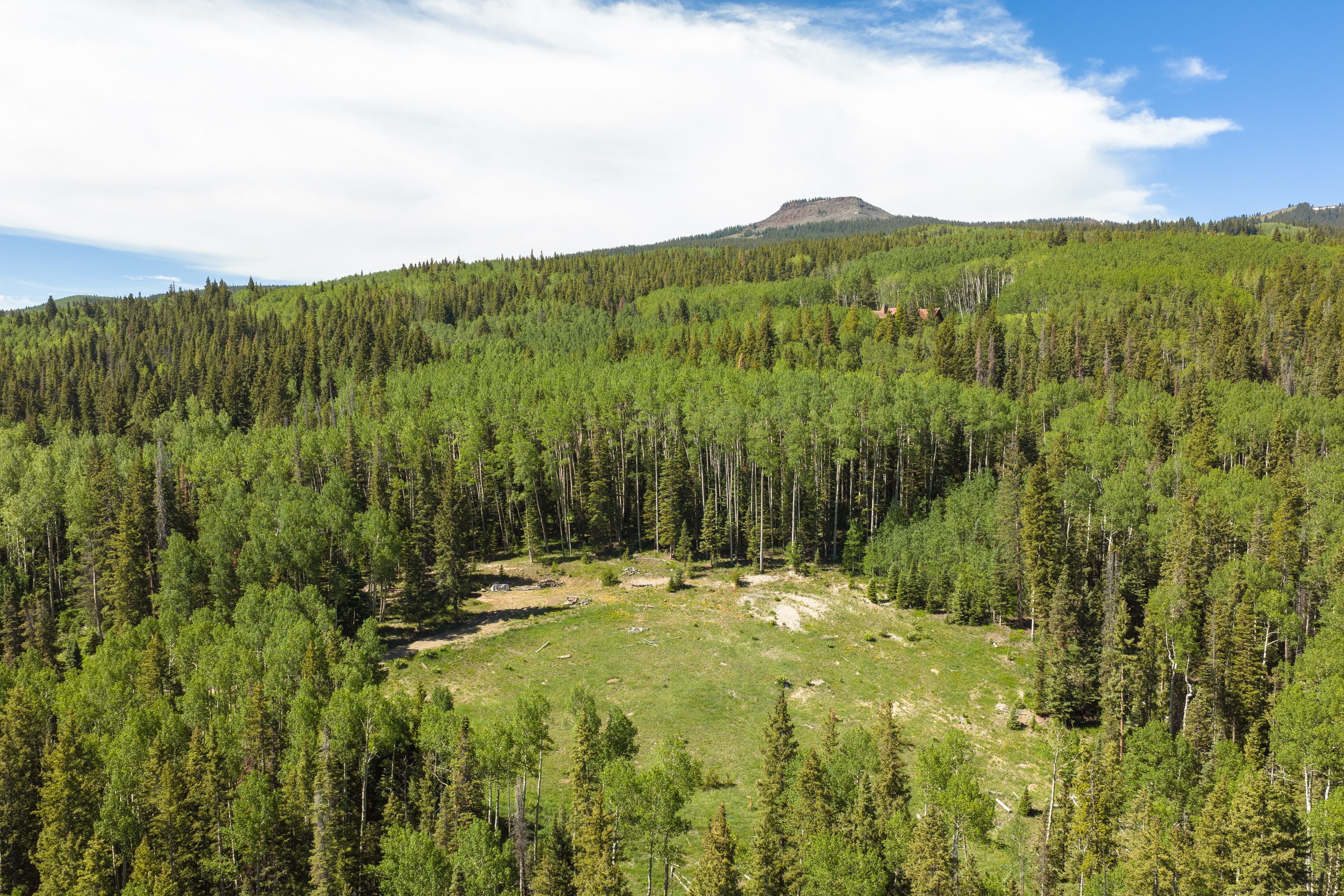  141 White Buffalo Trail, Crested Butte, CO, 81224 - 物件實景