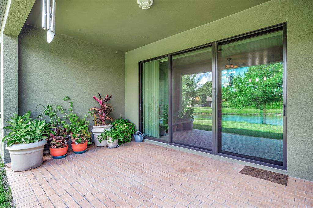 Wesley Chapel, Florida, 33545, United States, 5 Bedrooms Bedrooms, ,3 BathroomsBathrooms,Residential,For Sale,1941692