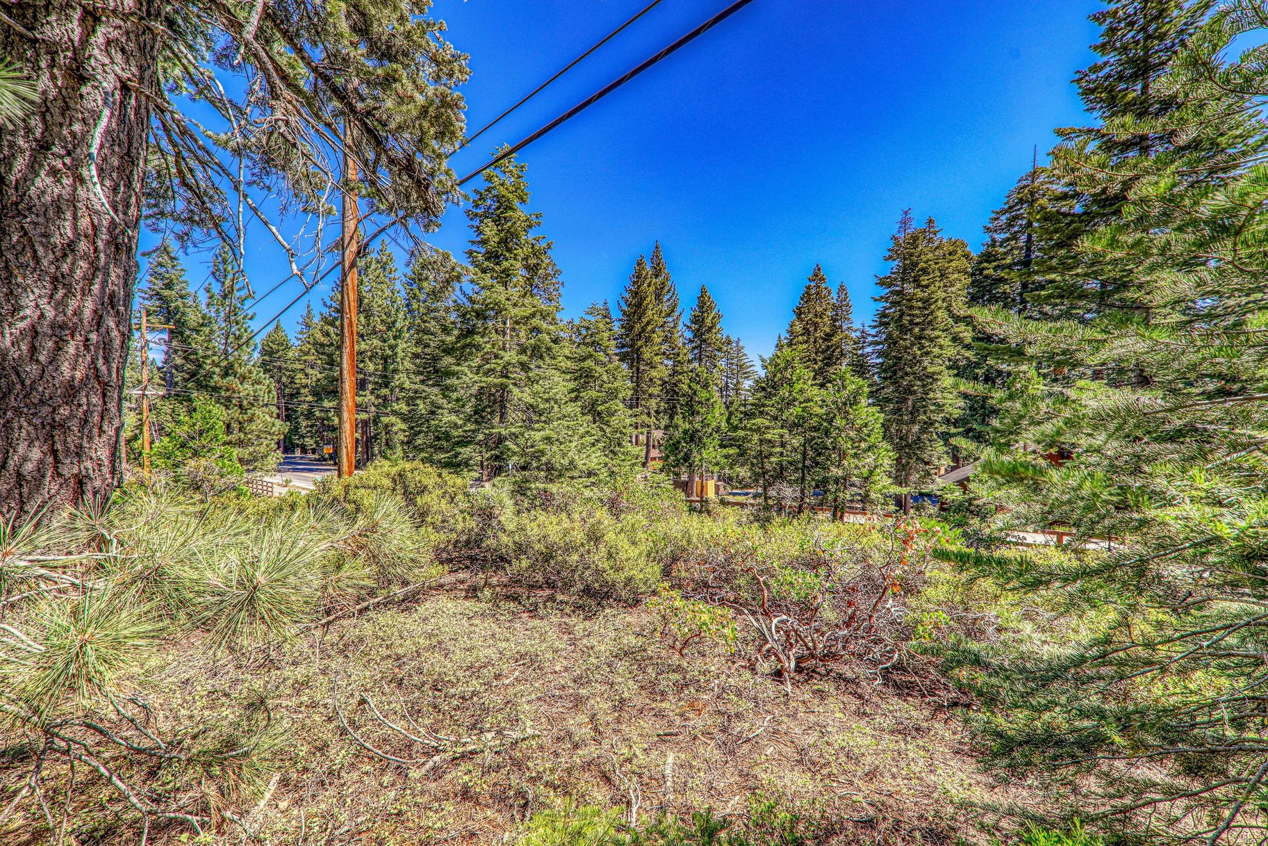 Buildable Lot Between Sunnyside and Tahoe City, Excellent Location - 物件實景