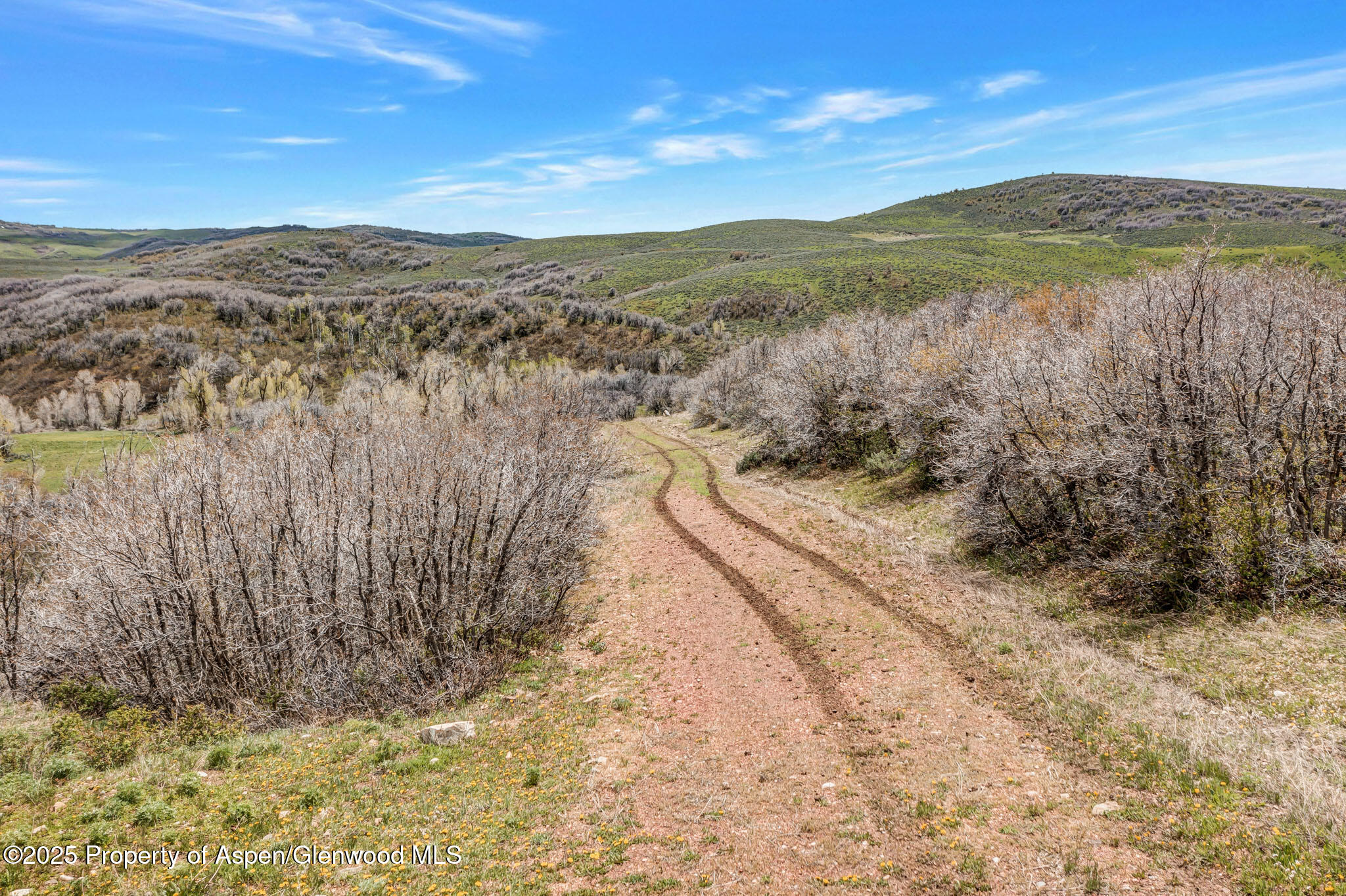 Hayden, Colorado, 81639, United States, ,Residential,For Sale,1901288