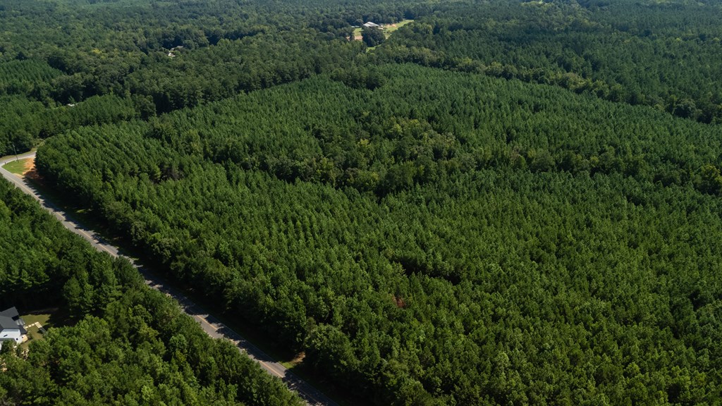 Hamilton, Georgia, 31811, United States, ,Land,For Sale,1919731