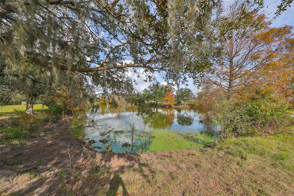 Wimauma, Florida, 33598, United States, ,Land,For Sale,1975638