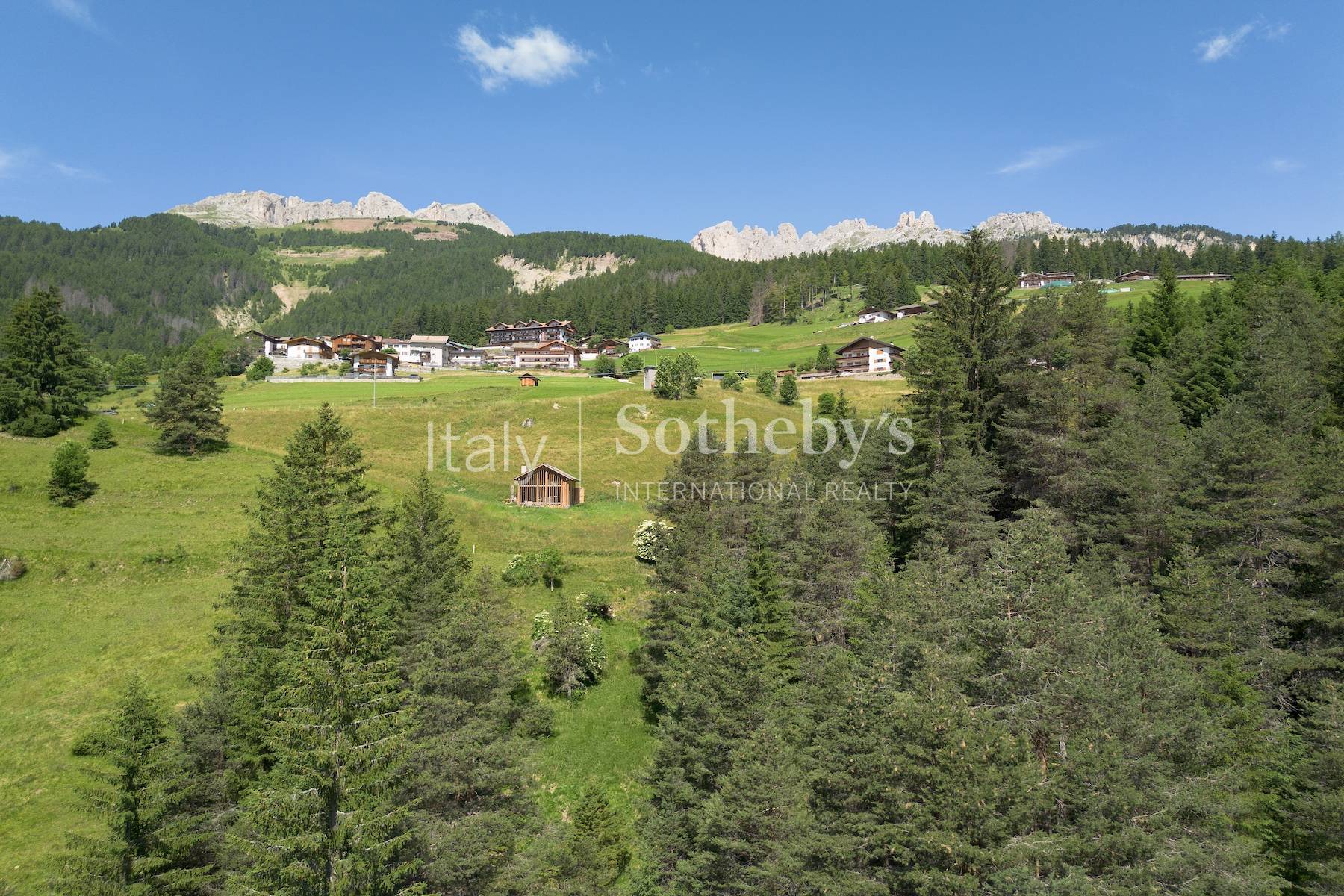  Exclusive chalet in the heart of the Dolomites - 物件實景