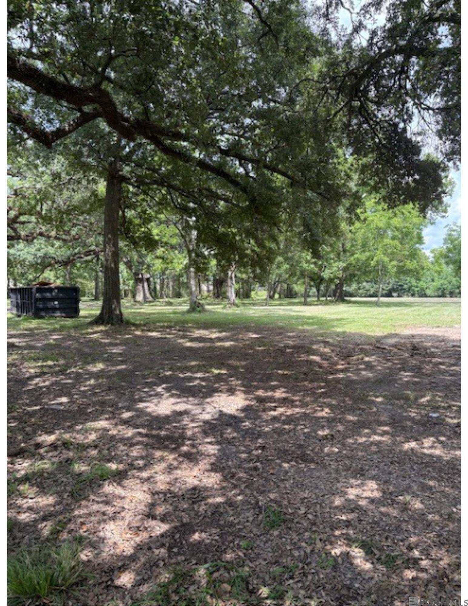 Prairieville, Louisiana, 70769, United States, ,Land,For Sale,1978899