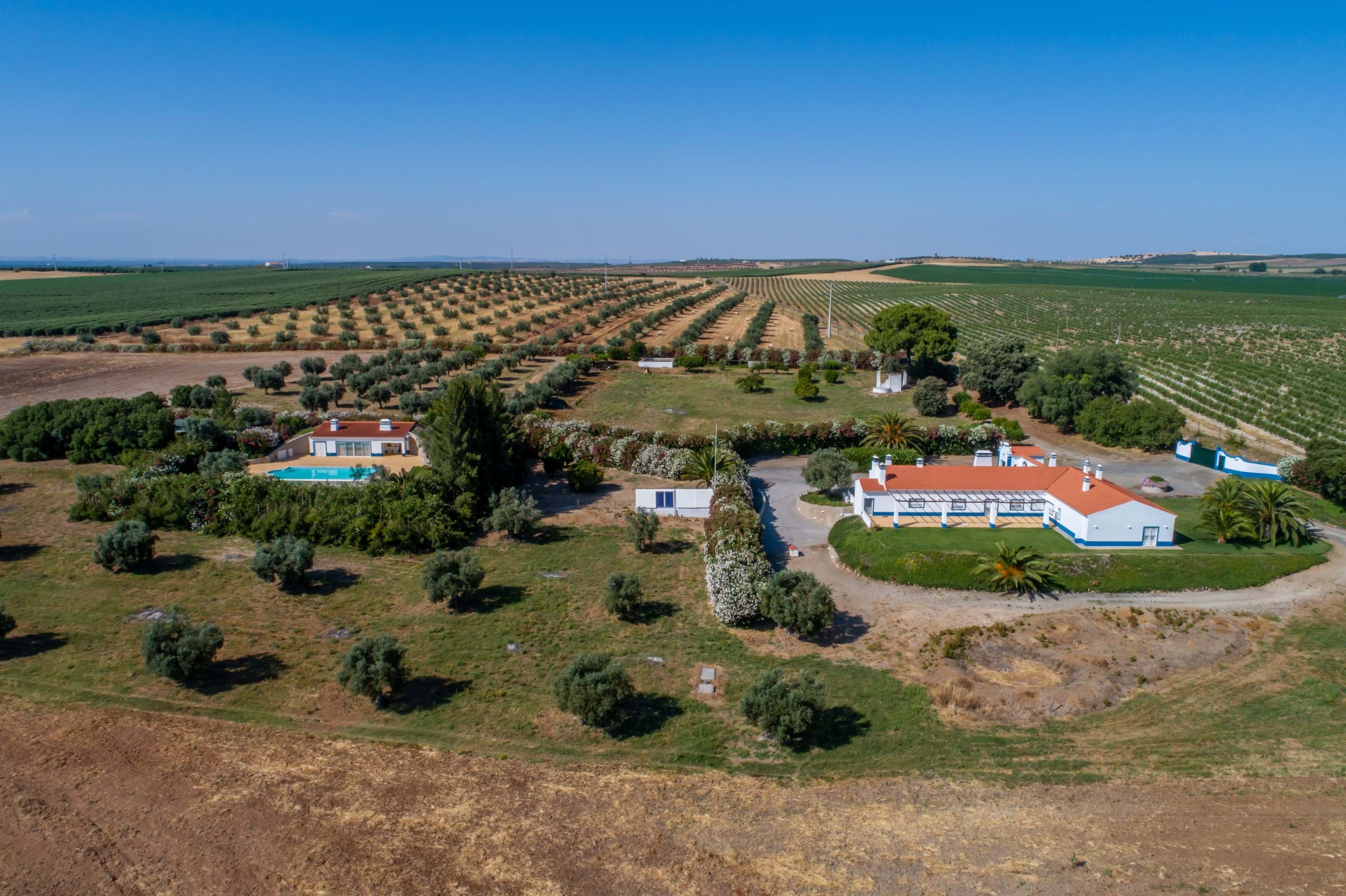 Ferreira do Alentejo, Beja, 7900-110, PT, 10 Bedrooms Bedrooms, ,11 BathroomsBathrooms,Residential,For Sale,1698854