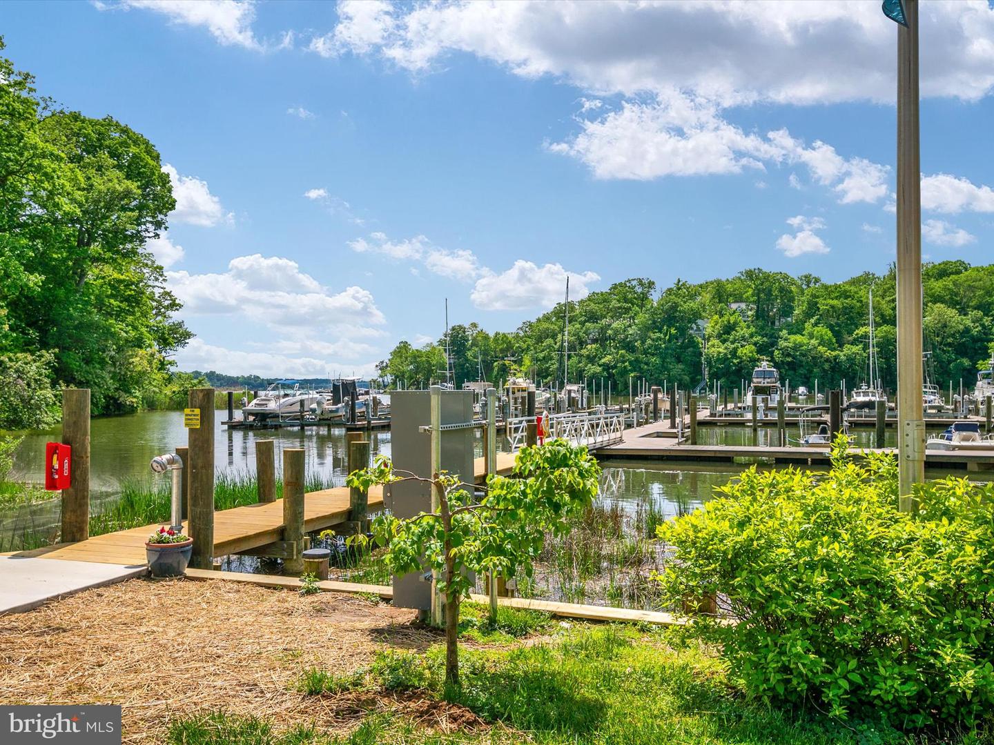 Annapolis, Maryland, 21401, United States, 5 Bedrooms Bedrooms, ,5 BathroomsBathrooms,Residential,For Sale,1895873