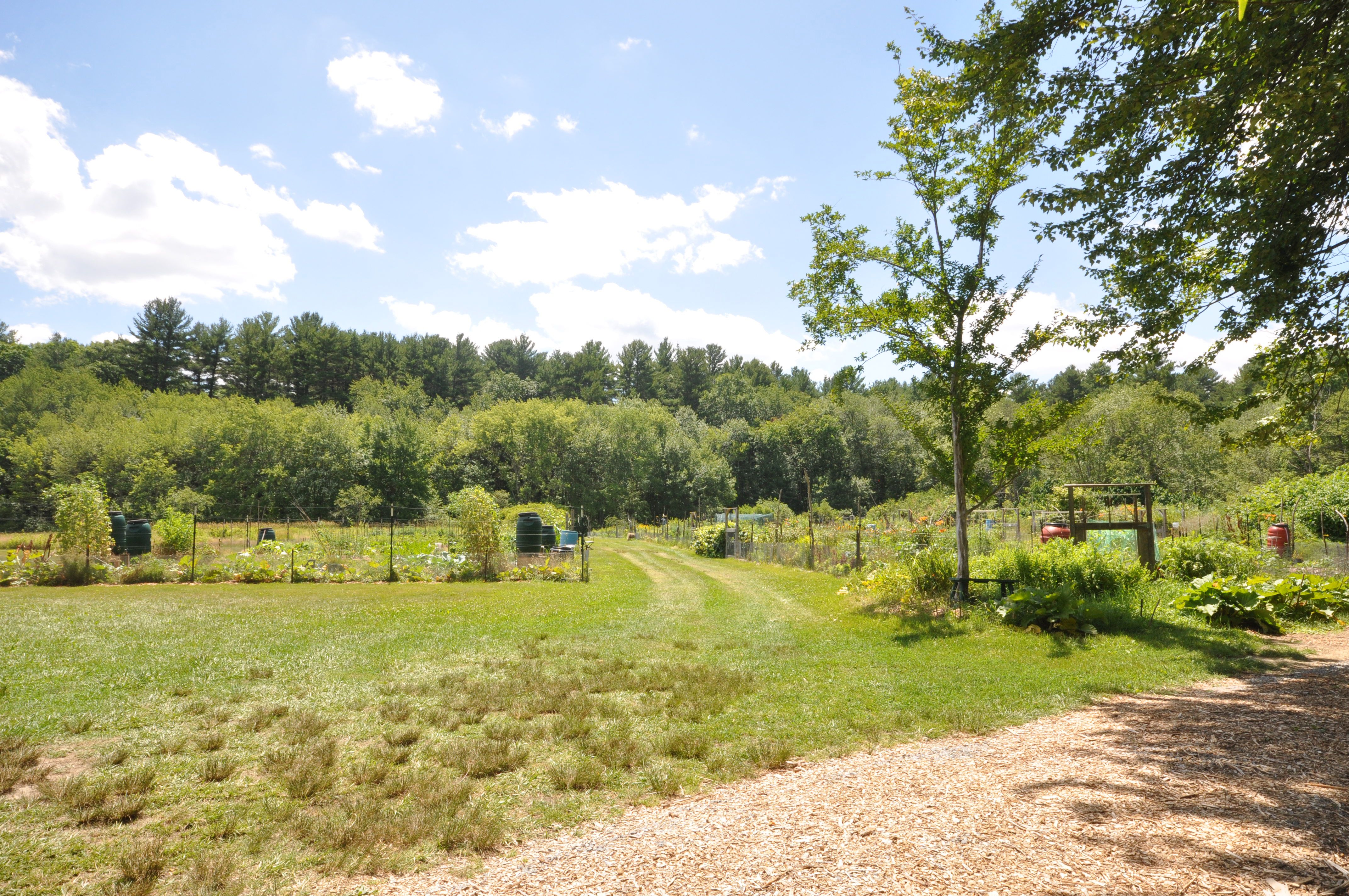  136 Holden Wood Road, Concord, MA 01742 - 物件實景