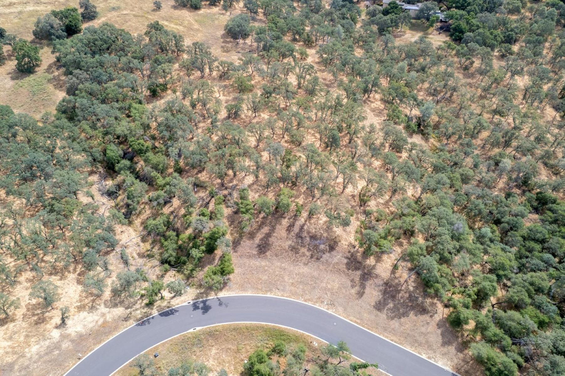 6777 Western Sierra Way, El Dorado Hills, CA 95762 - 物件實景
