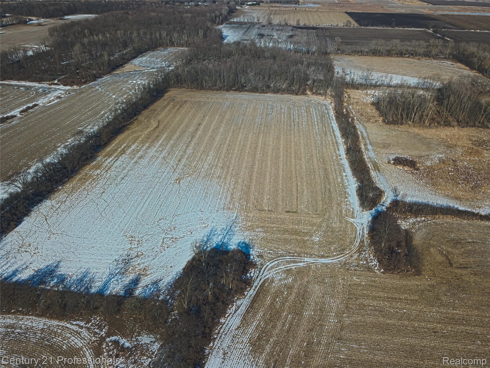 Allenton, Michigan, 48002, United States, ,Land,For Sale,2005933