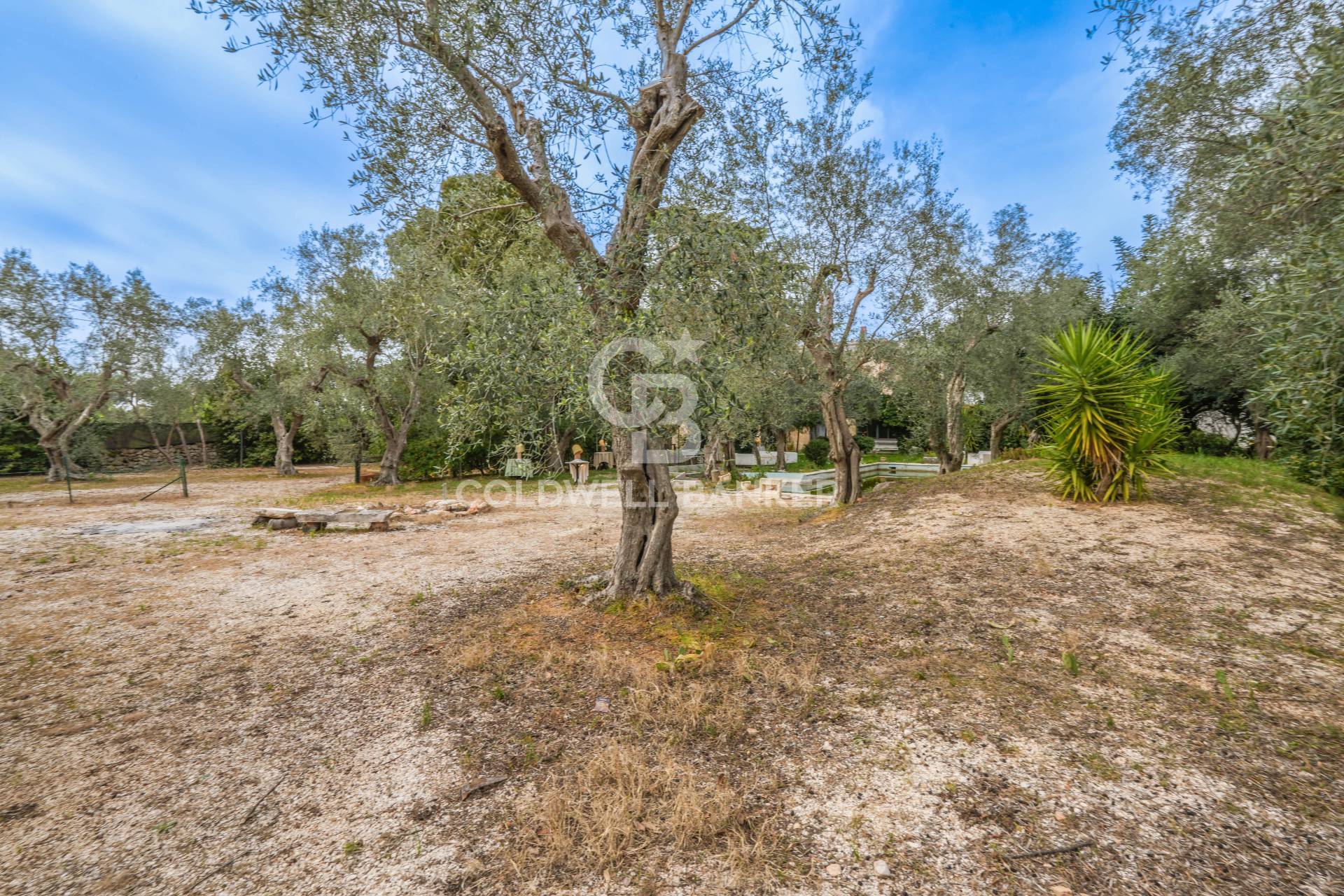 Bitonto, Bari, 70032, IT, 4 Bedrooms Bedrooms, ,4 BathroomsBathrooms,Residential,For Sale,1686700