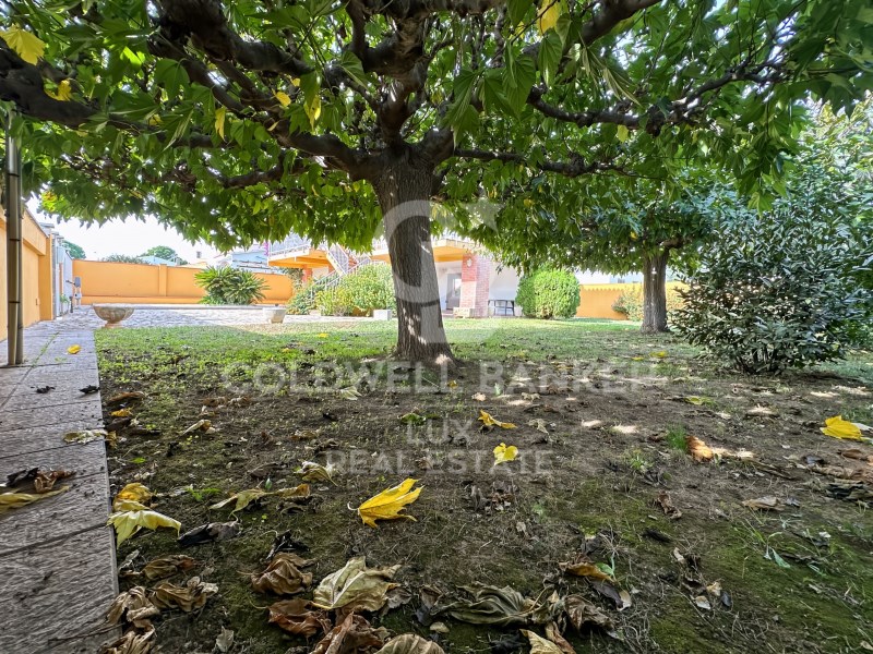 L'Escala, Catalonia, ES, 3 Bedrooms Bedrooms, ,1 BathroomBathrooms,Residential,For Sale,1987549