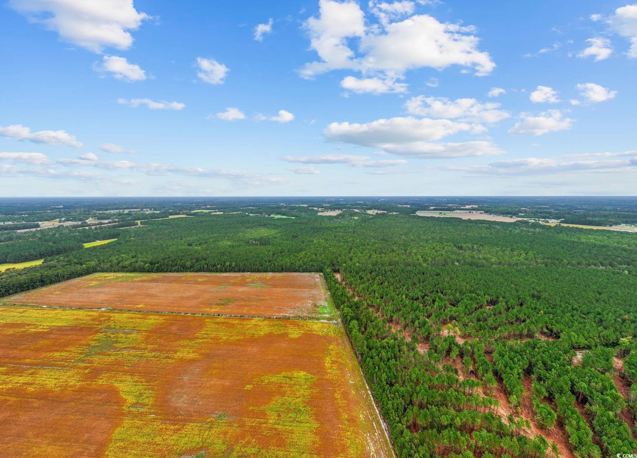 Loris, South Carolina, 29569, United States, ,Land,For Sale,1973987