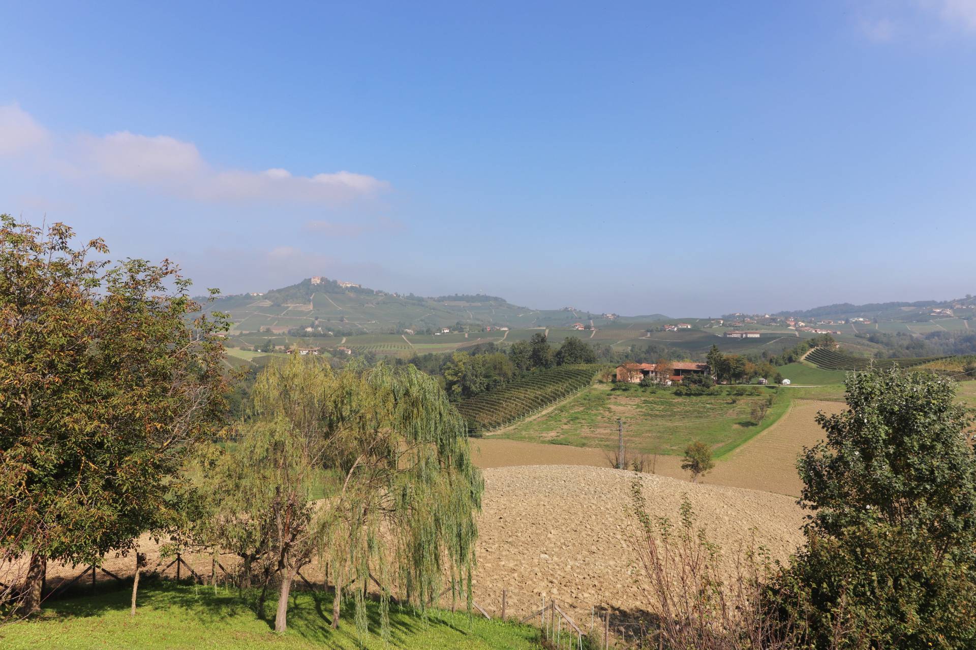 Localit? riviera, Monforte d'Alba, Cuneo, 12065, IT, 3 Bedrooms Bedrooms, ,3 BathroomsBathrooms,Residential,For Sale,Localit? riviera,1639521