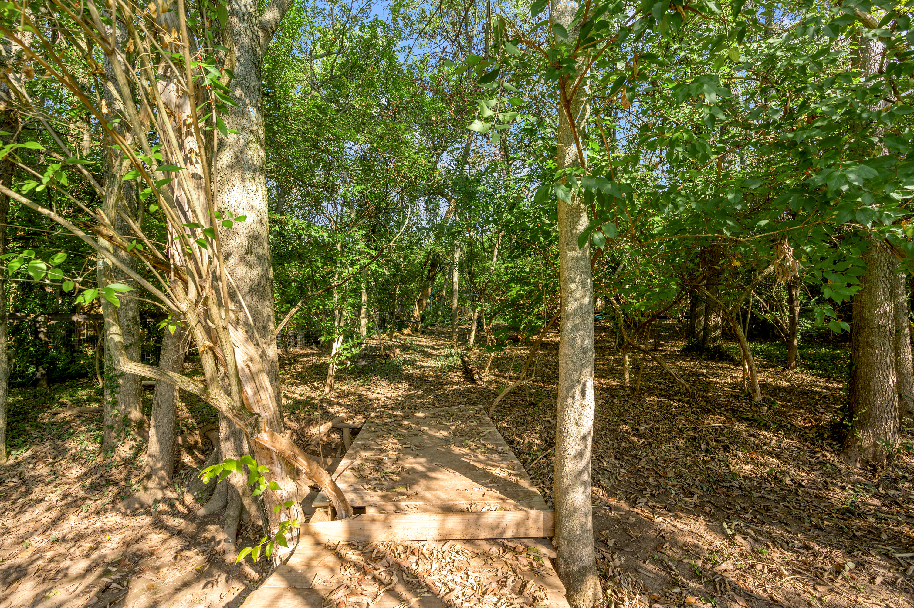 4060 Greentree Road - 物件實景