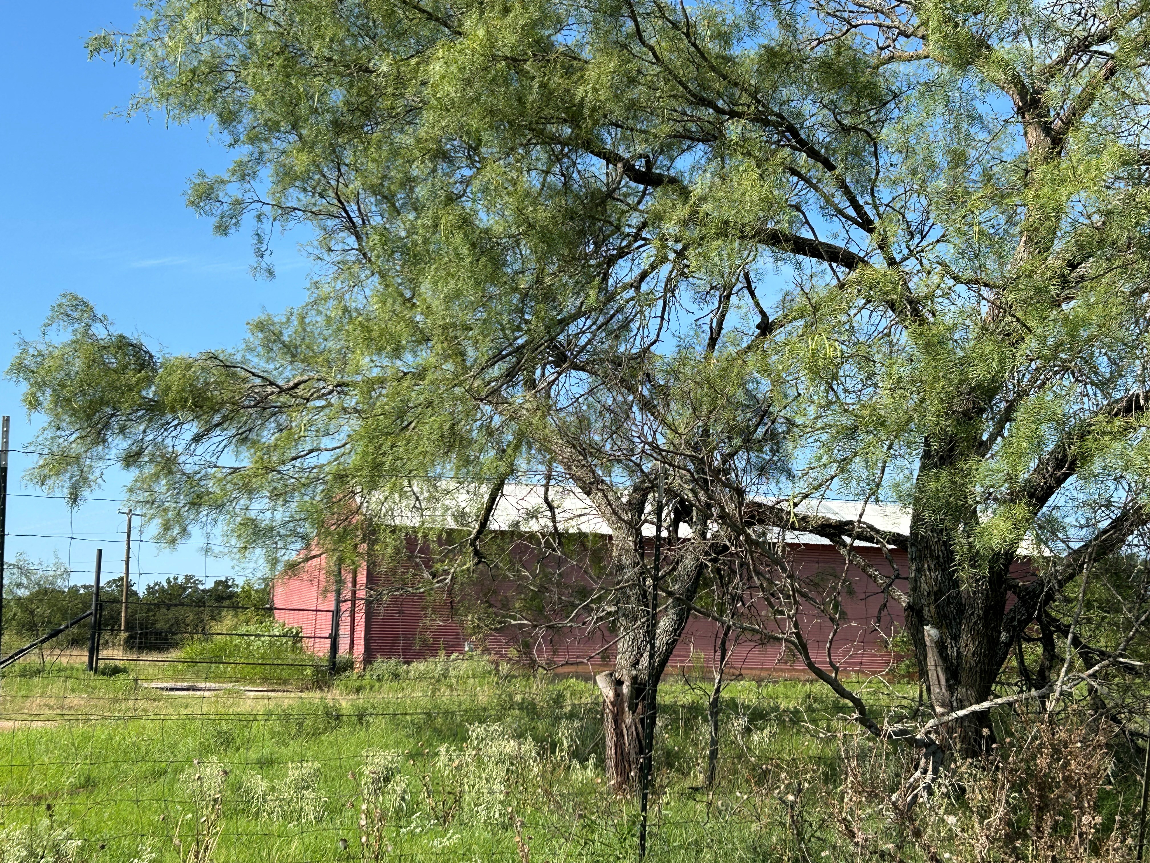 Bridgeport, Texas, 76426, United States, ,Land,For Sale,1981851