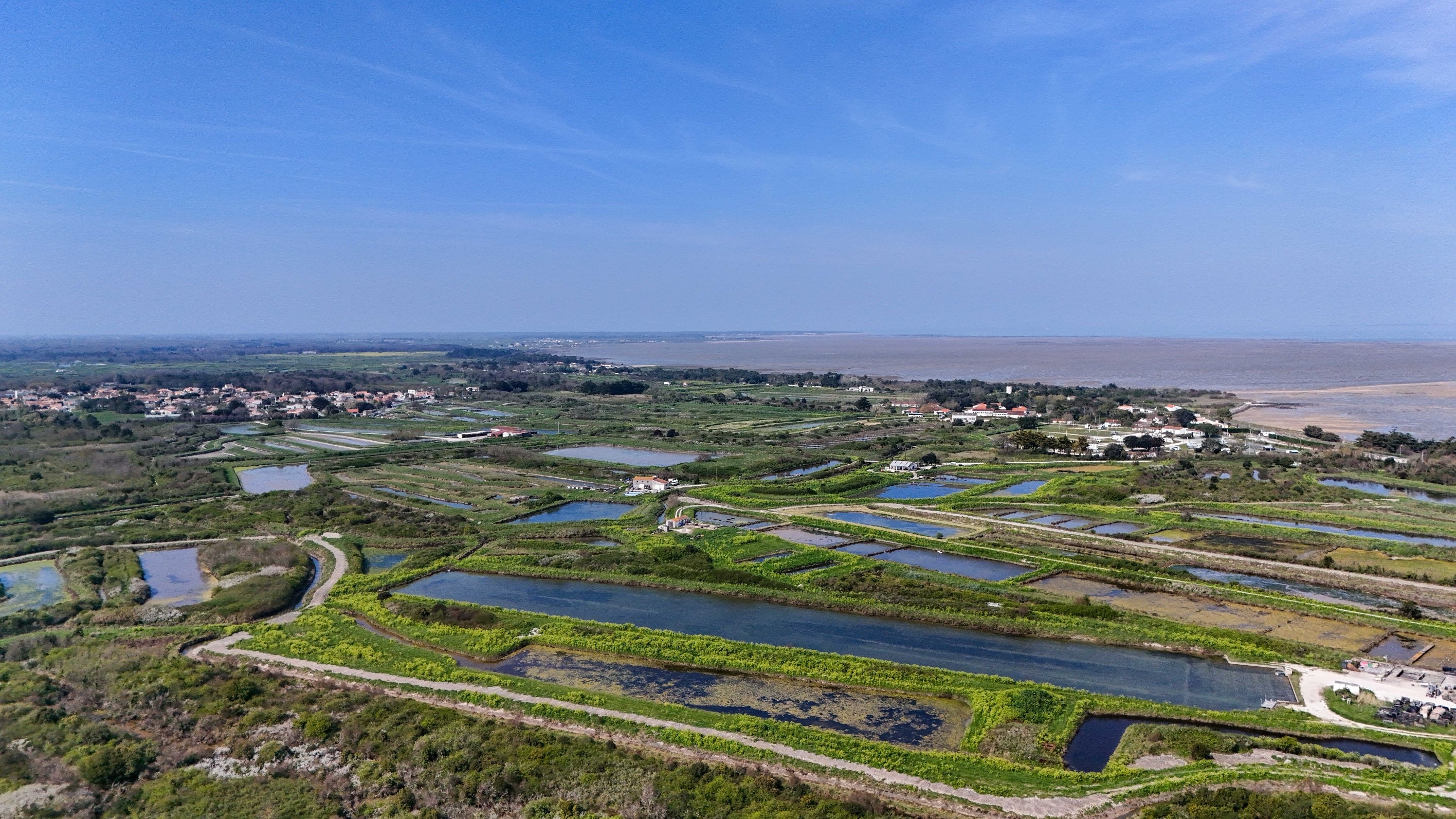  Maison - 物件實景