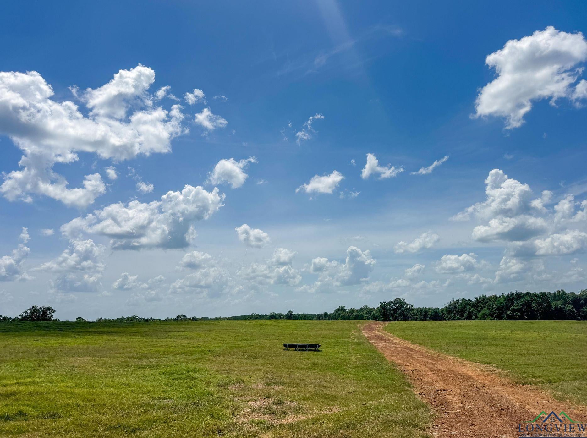 Linden, Texas, 75563, United States, 3 Bedrooms Bedrooms, ,3 BathroomsBathrooms,Residential,For Sale,1974630