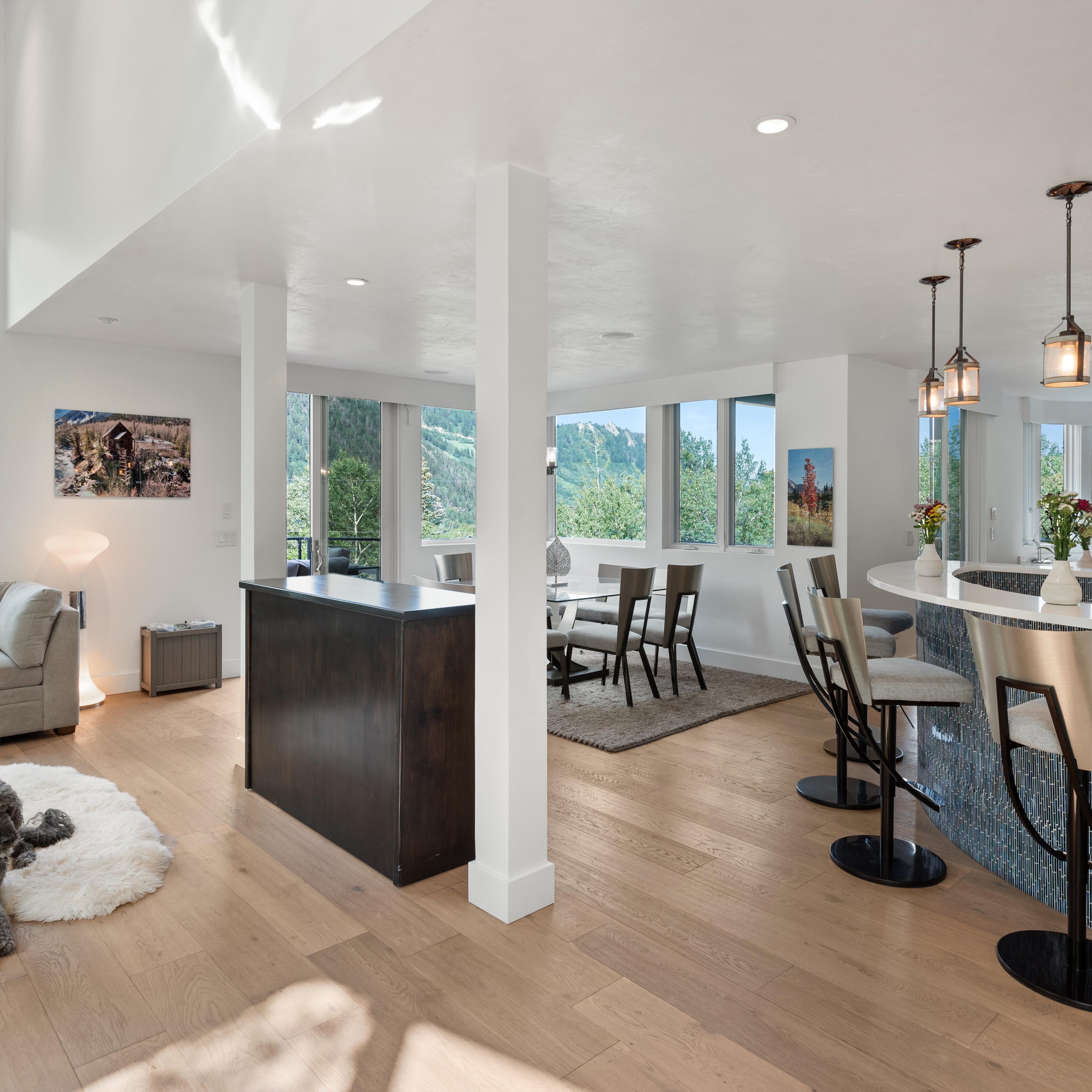  257 Mountain Laurel Drive, Aspen, CO, 81611 - 物件實景