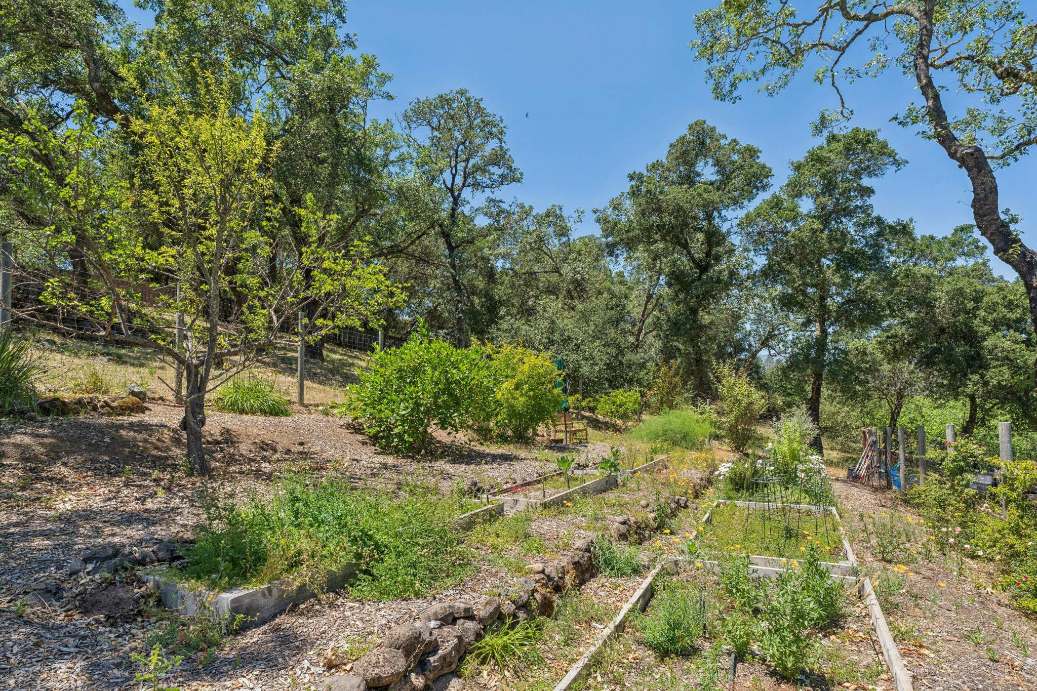  3393 St. Helena Hwy N. - 物件實景