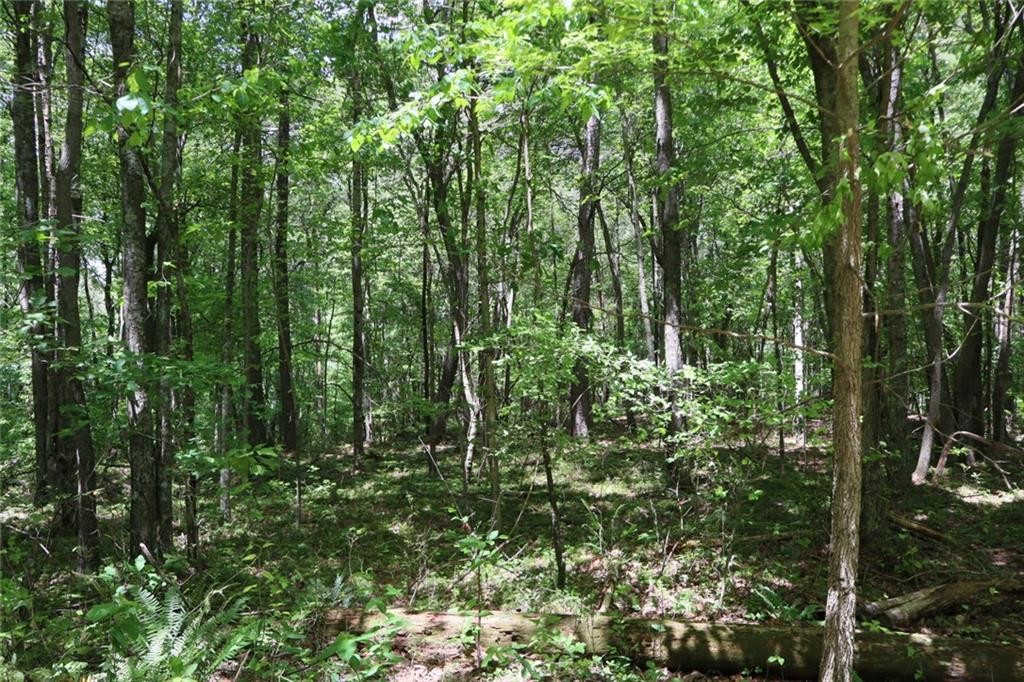 Ellijay, Georgia, 30540, United States, ,Residential,For Sale,1881390
