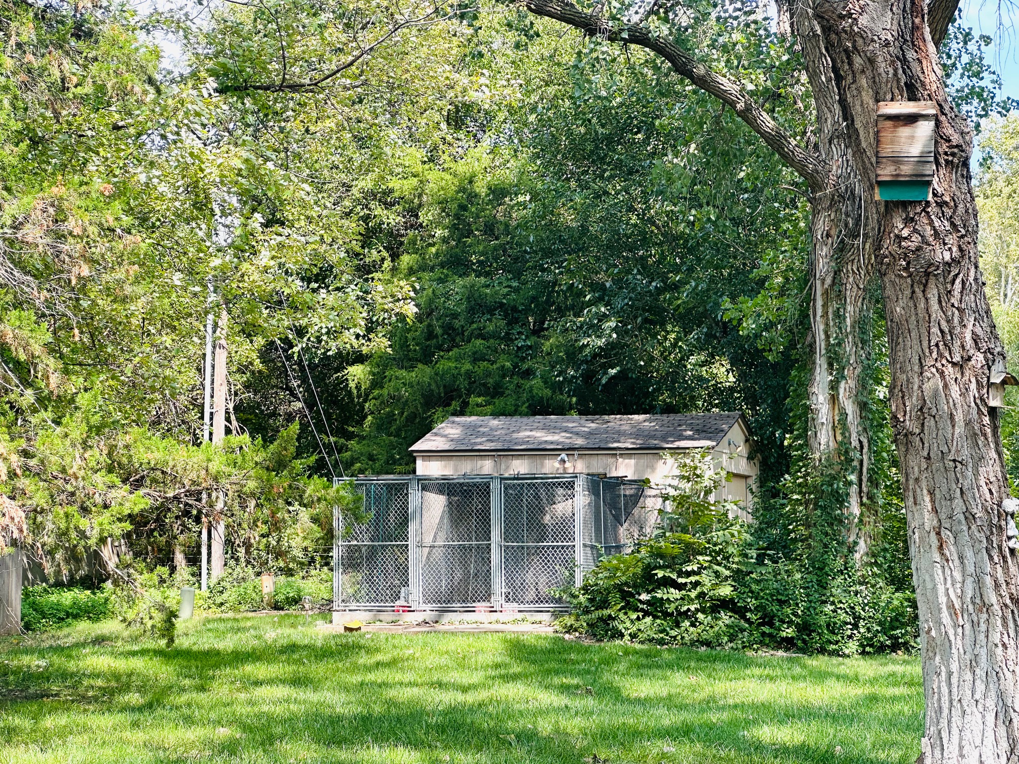 Enid, Oklahoma, 73703, United States, 5 Bedrooms Bedrooms, ,5 BathroomsBathrooms,Residential,For Sale,1981686