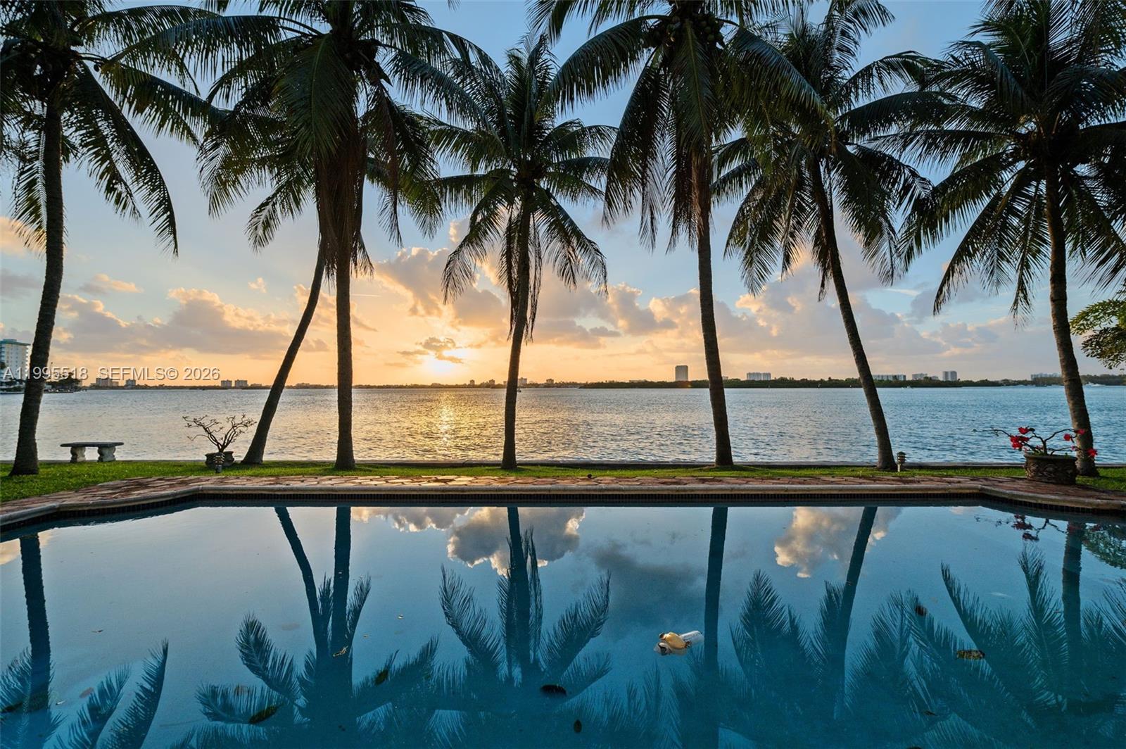 Waterfront swimming pool reflecting palm trees at sunset, with a grassy shoreline and distant buildings.