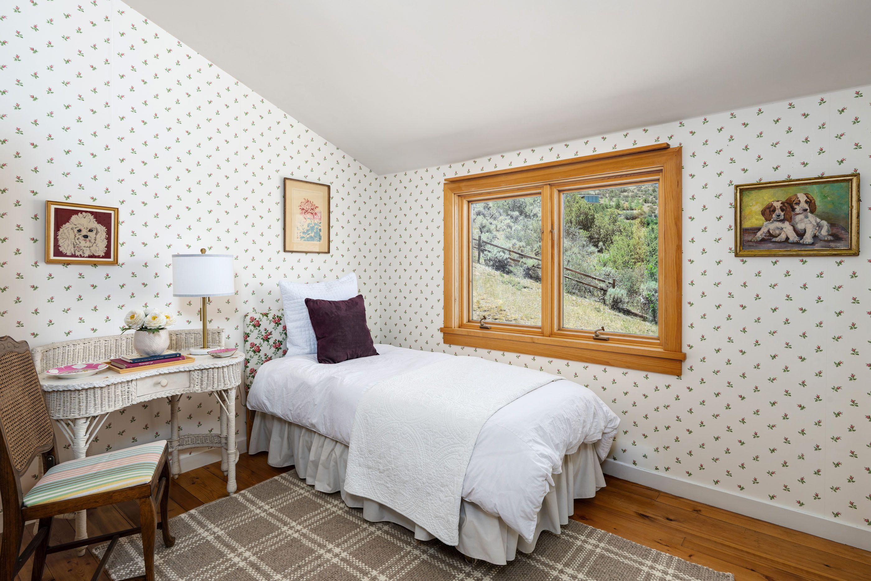  679 Brush Creek Road, Aspen, CO 81611 - 物件實景