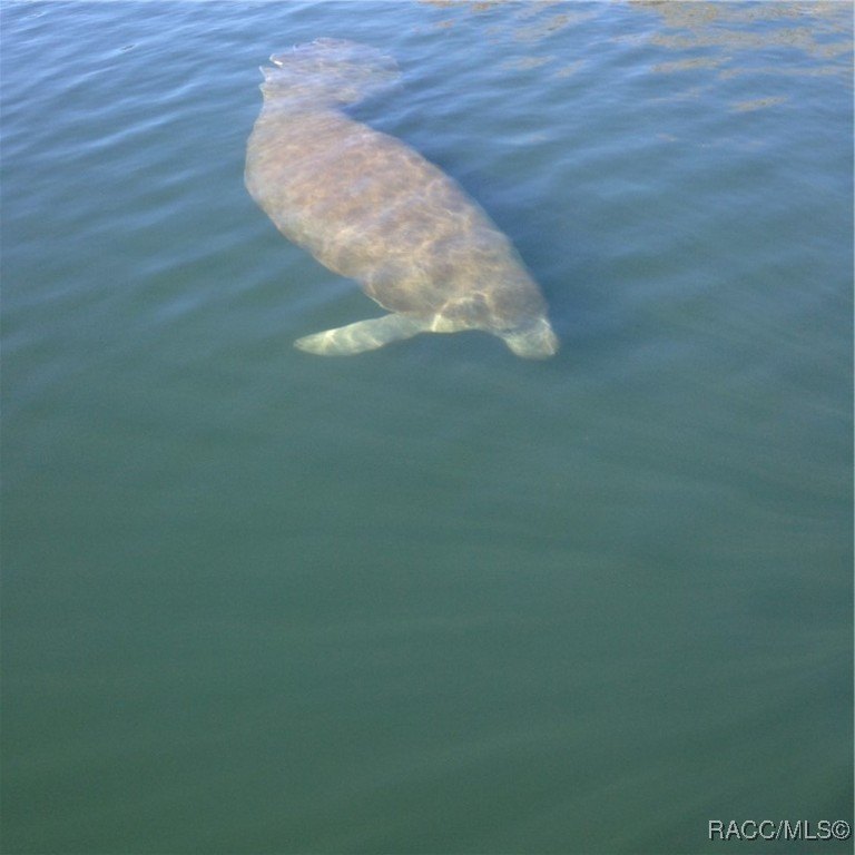 Lecanto, Florida, 34461, United States, 3 Bedrooms Bedrooms, ,4 BathroomsBathrooms,Residential,For Sale,2005544