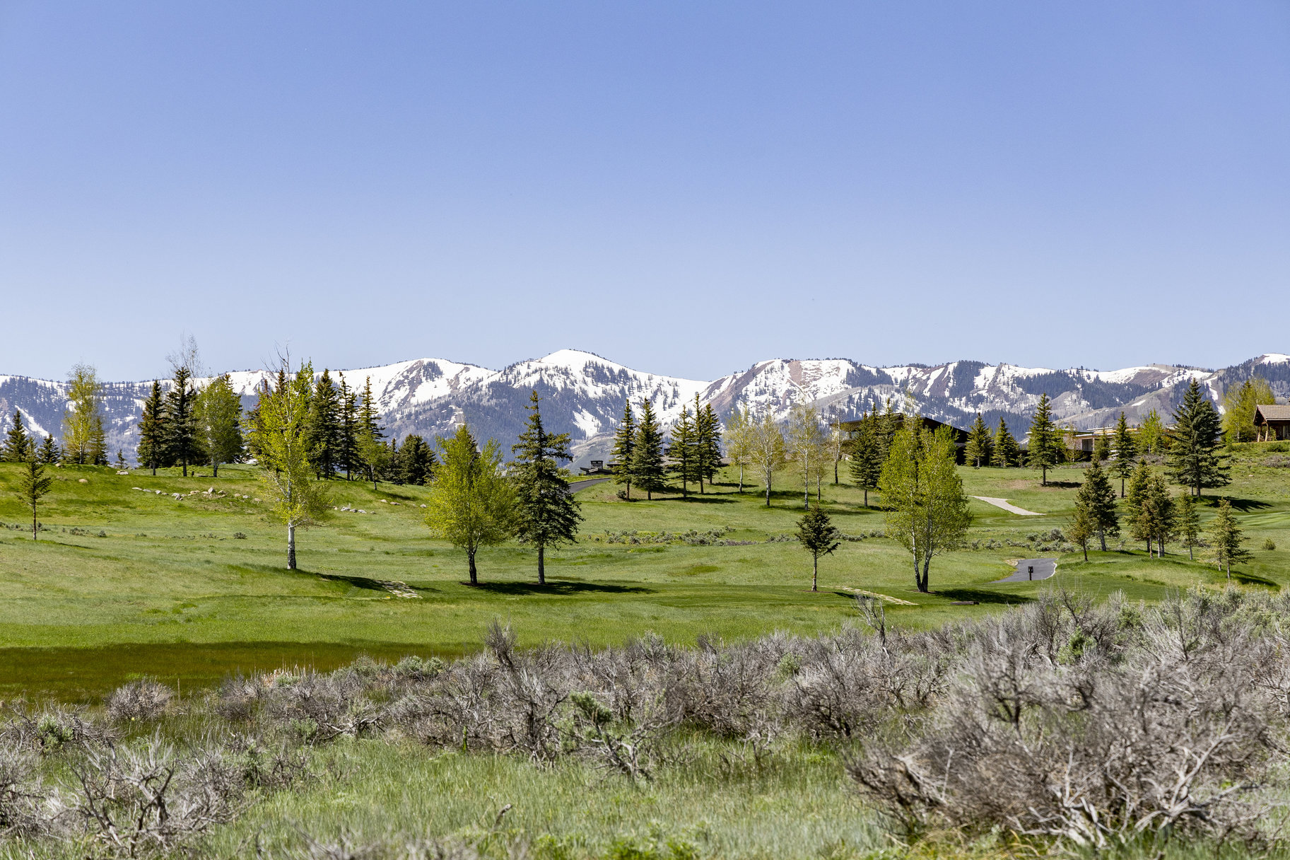  South-facing, Flat Lot on the 4th Green at Glenwild with Ski Resort Views - 物件實景