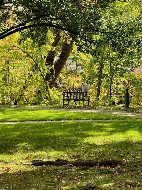 Newton, Massachusetts, 02464, United States, 2 Bedrooms Bedrooms, ,2 BathroomsBathrooms,Residential,For Sale,1947082