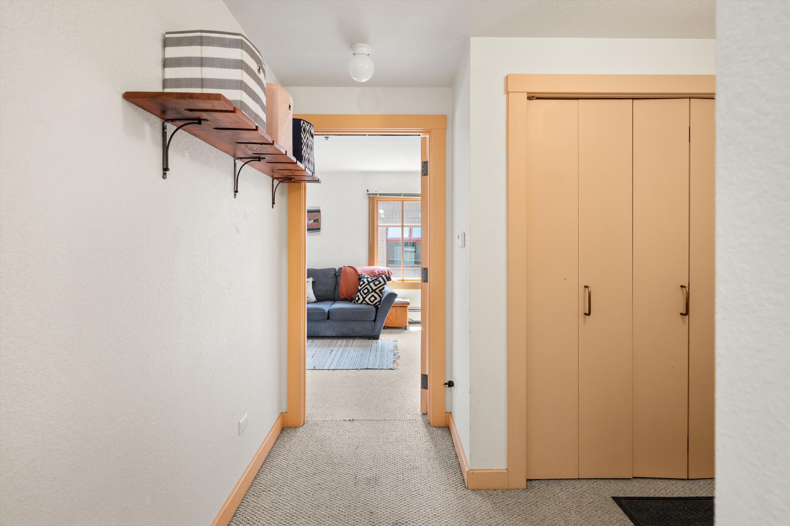  115 Boomerang Road, Aspen, CO, 81611 - 物件實景