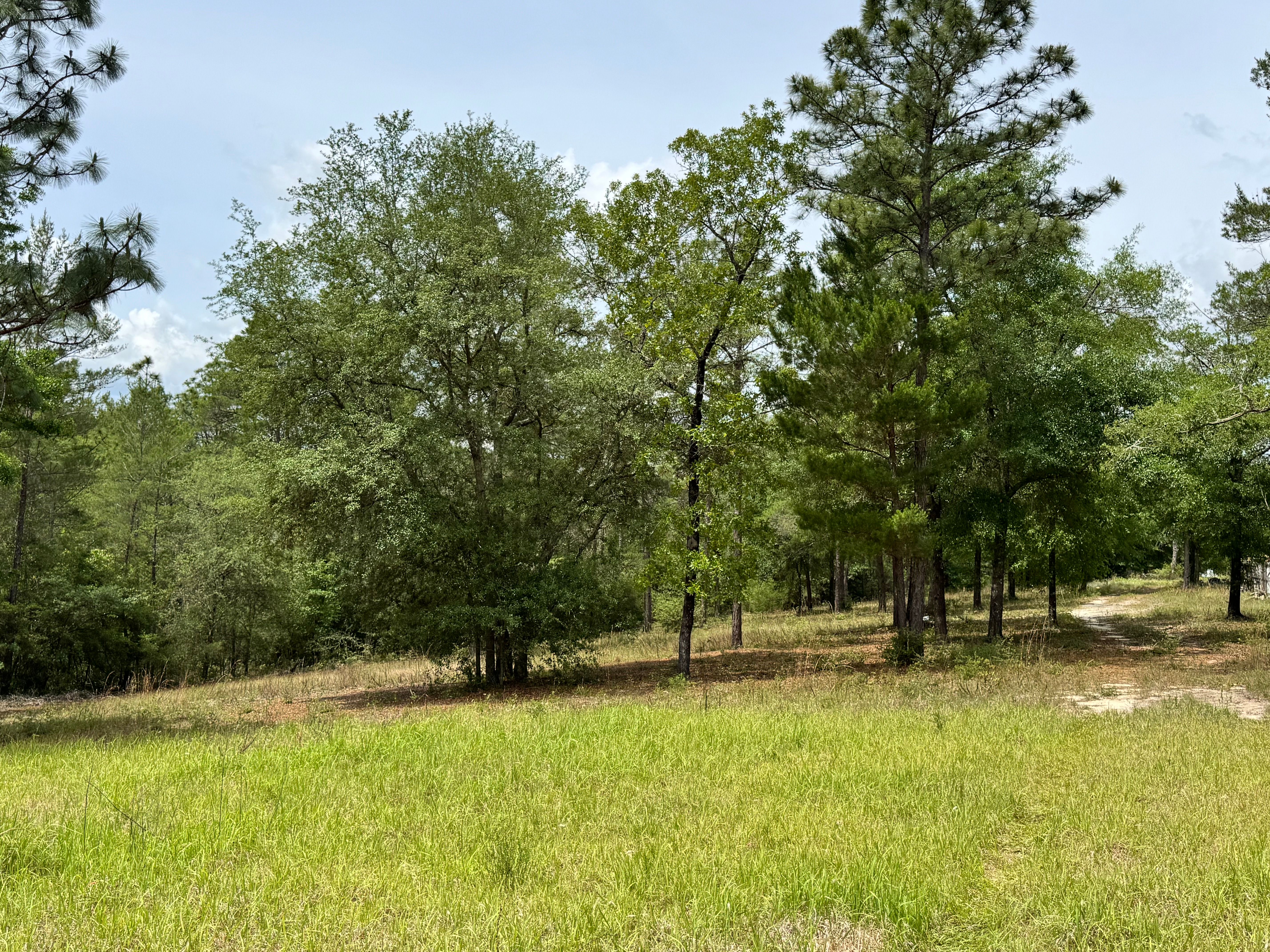  Private 7.55-Acre Property with Existing Infrastructure - 物件實景