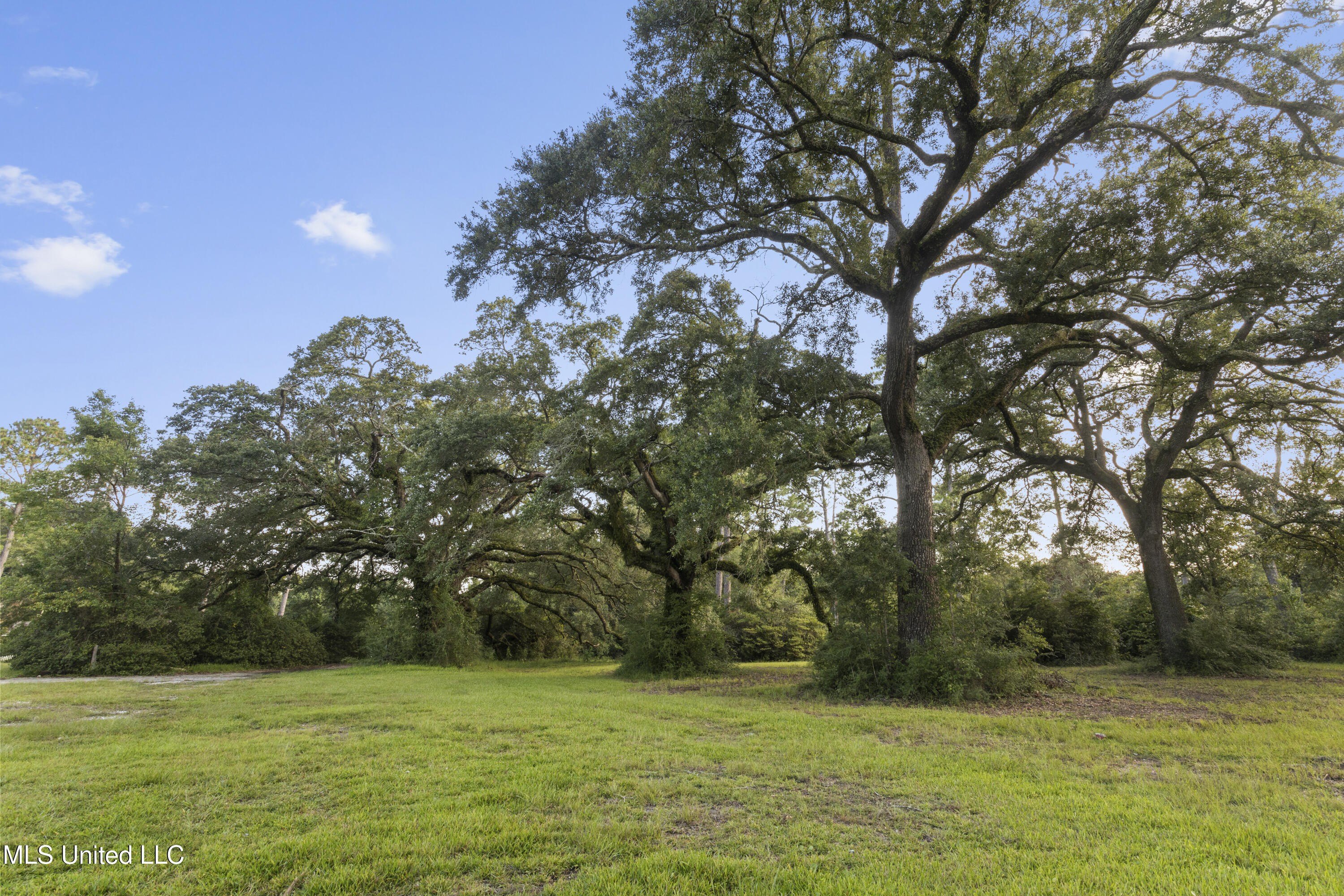 Ocean Springs, Mississippi, 39564, United States, ,Land,For Sale,1983190