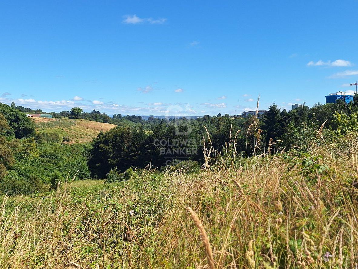 Osorno, Chile, ,Land,For Sale,1972838