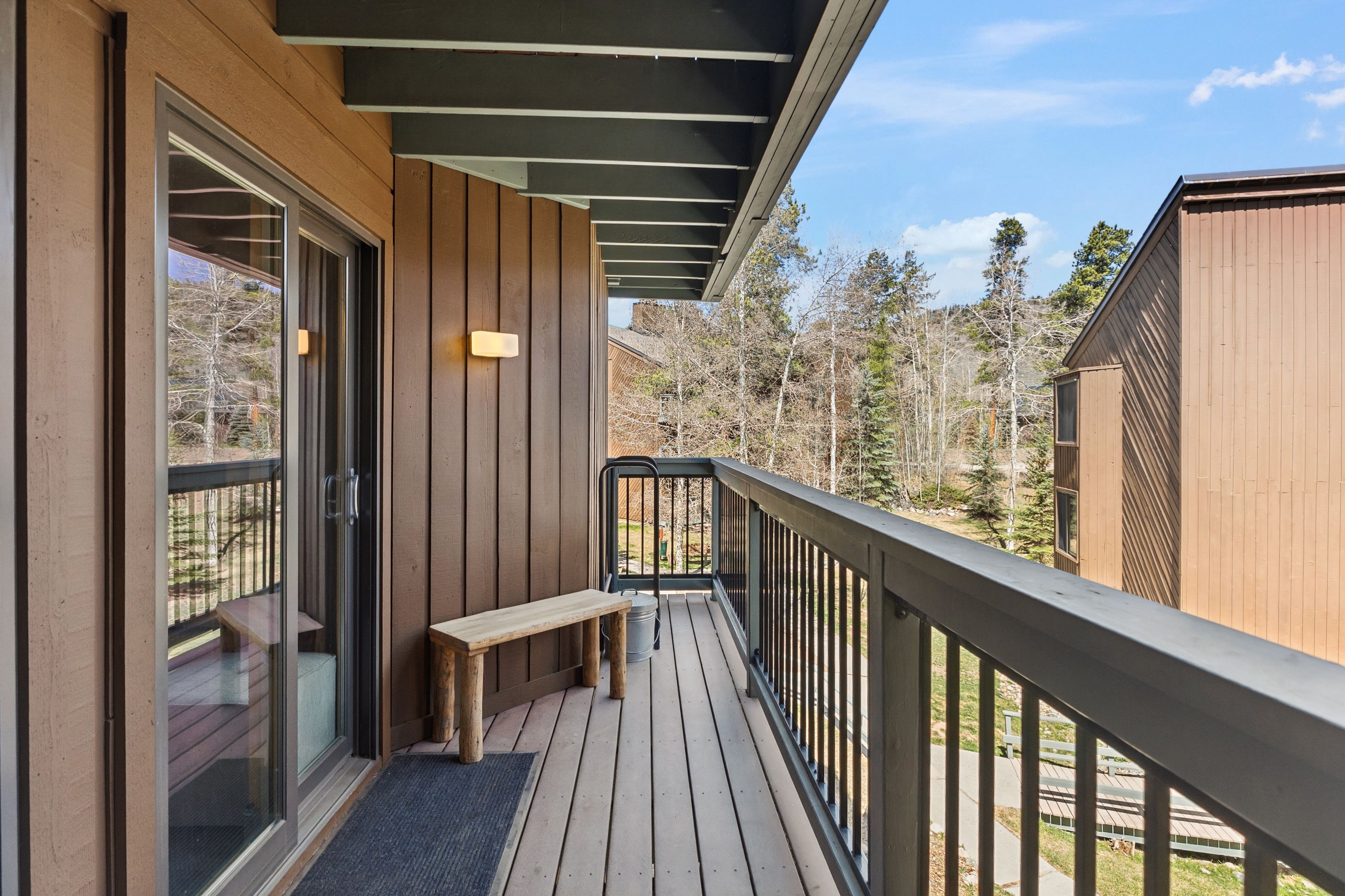  423 Wild Irishman Road, Dillon, CO, 80435 - 物件實景