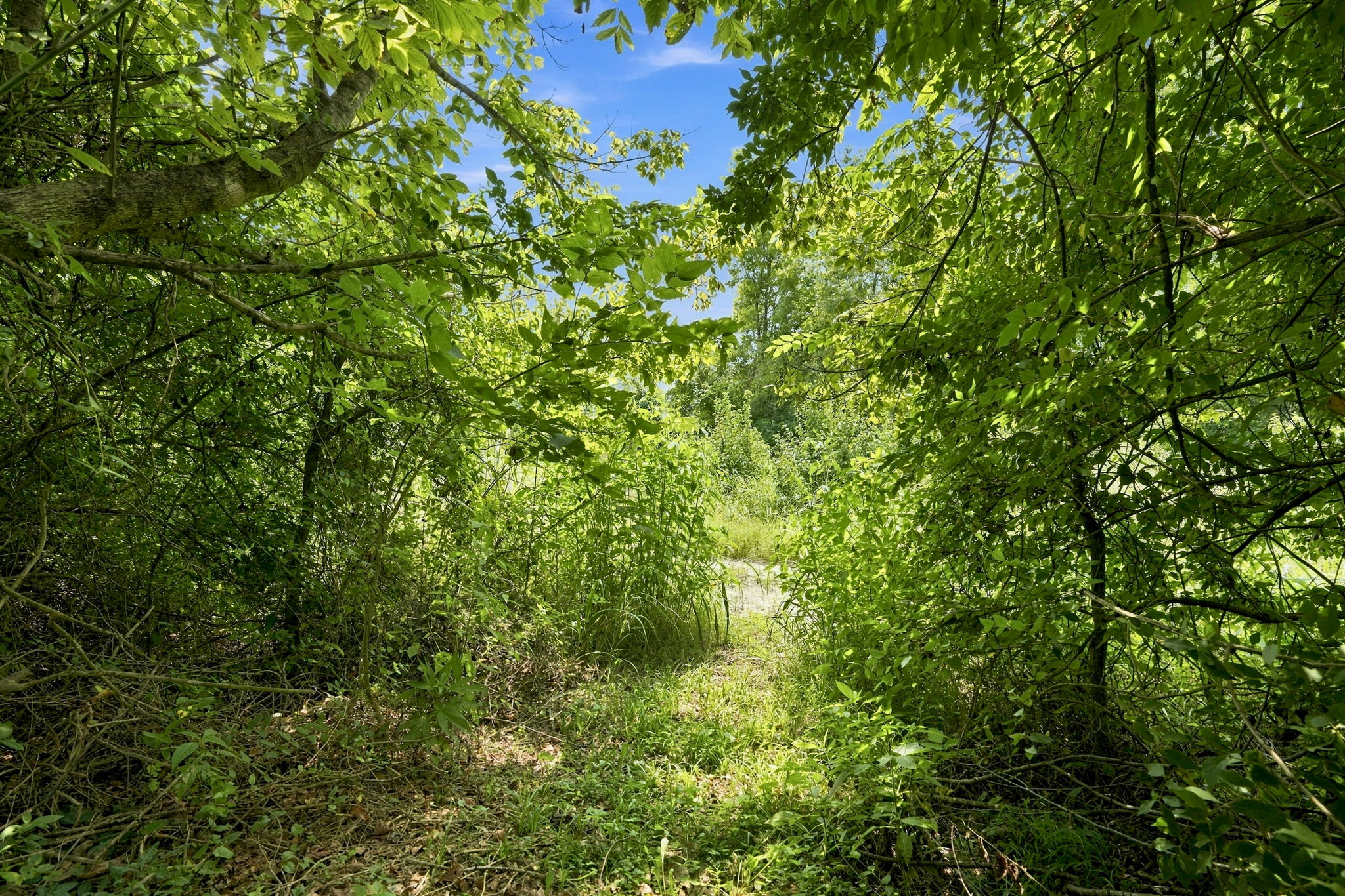 1210 Beckley Hills Court, Louisville, KY 40245 - 物件實景
