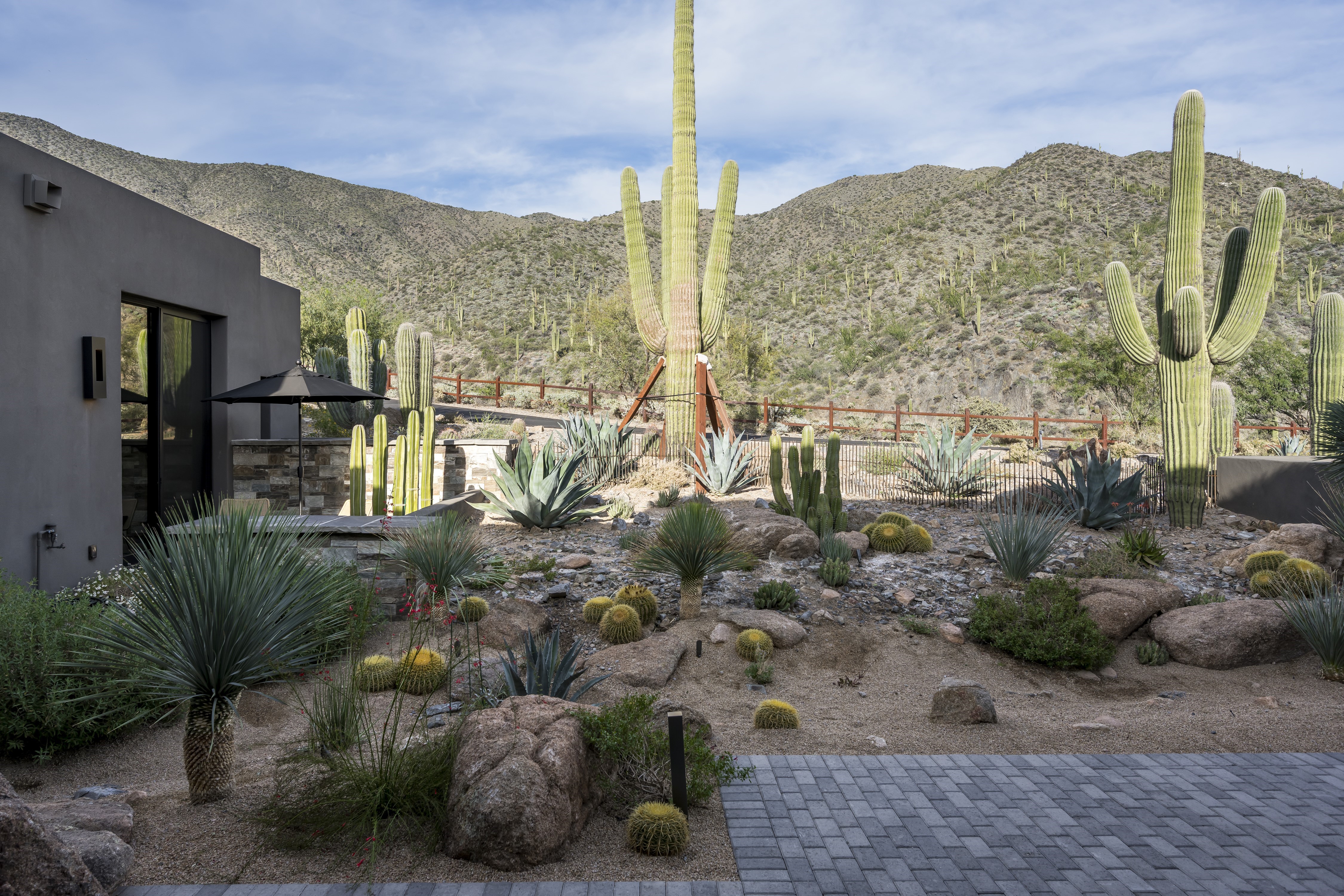  42829 North 102nd Street  Scottsdale, AZ - 物件實景