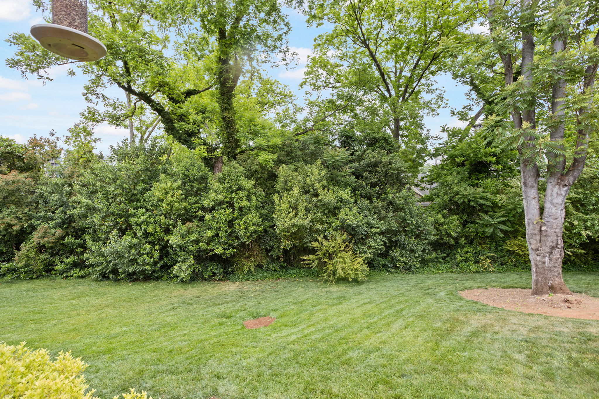  206 McDaniel Greene, Greenville, SC 29601 - 物件實景