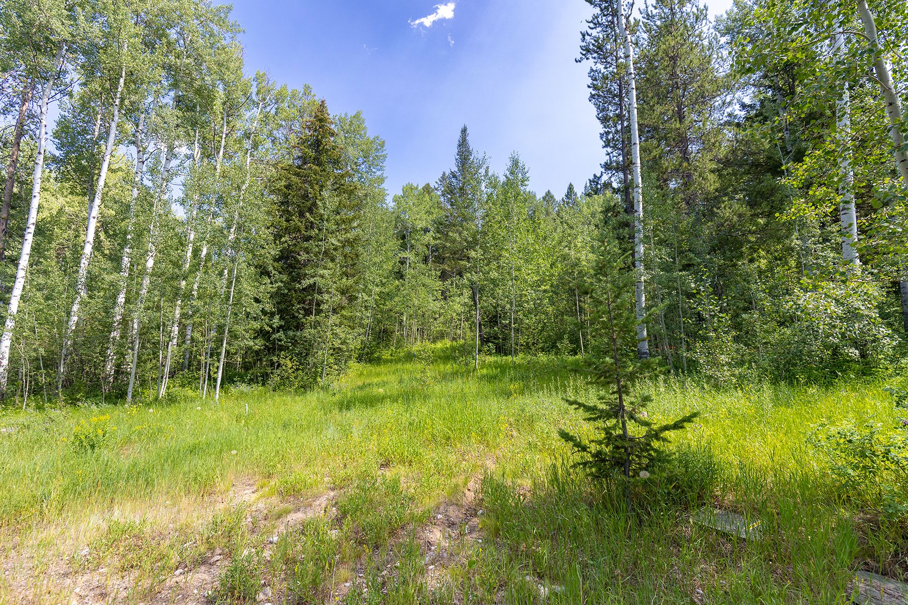  Teton Springs Cabin Site - 物件實景