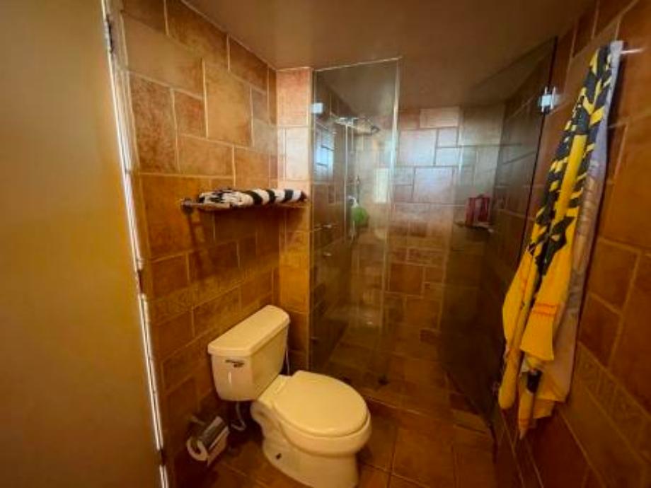 Elefante, Benito Juárez, Ciudad de México, 03230, Mexico, 3 Bedrooms Bedrooms, ,3 BathroomsBathrooms,Residential,For Sale,Elefante,1620065