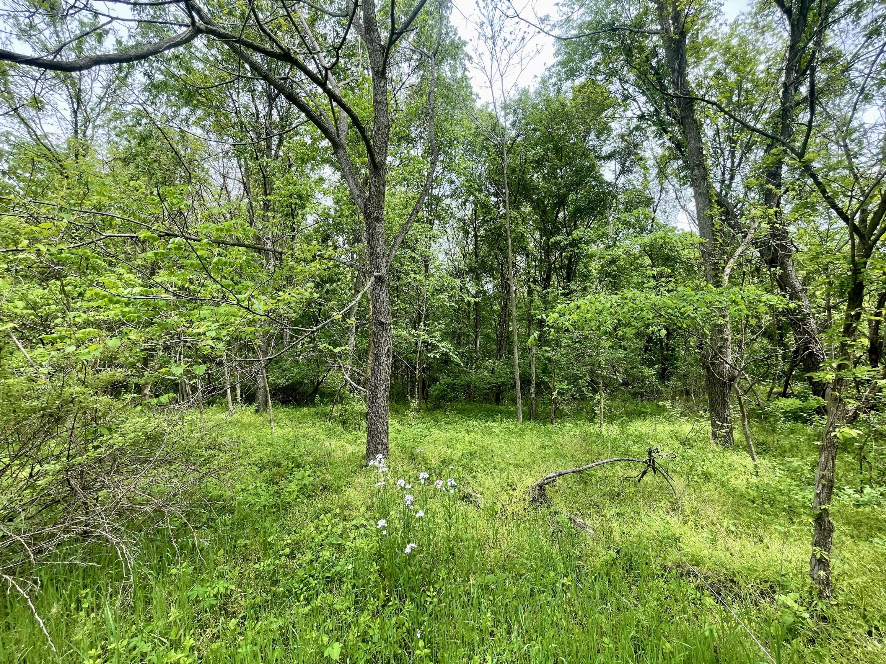 Saint Louisville, Ohio, 43071, United States, ,Land,For Sale,1981627