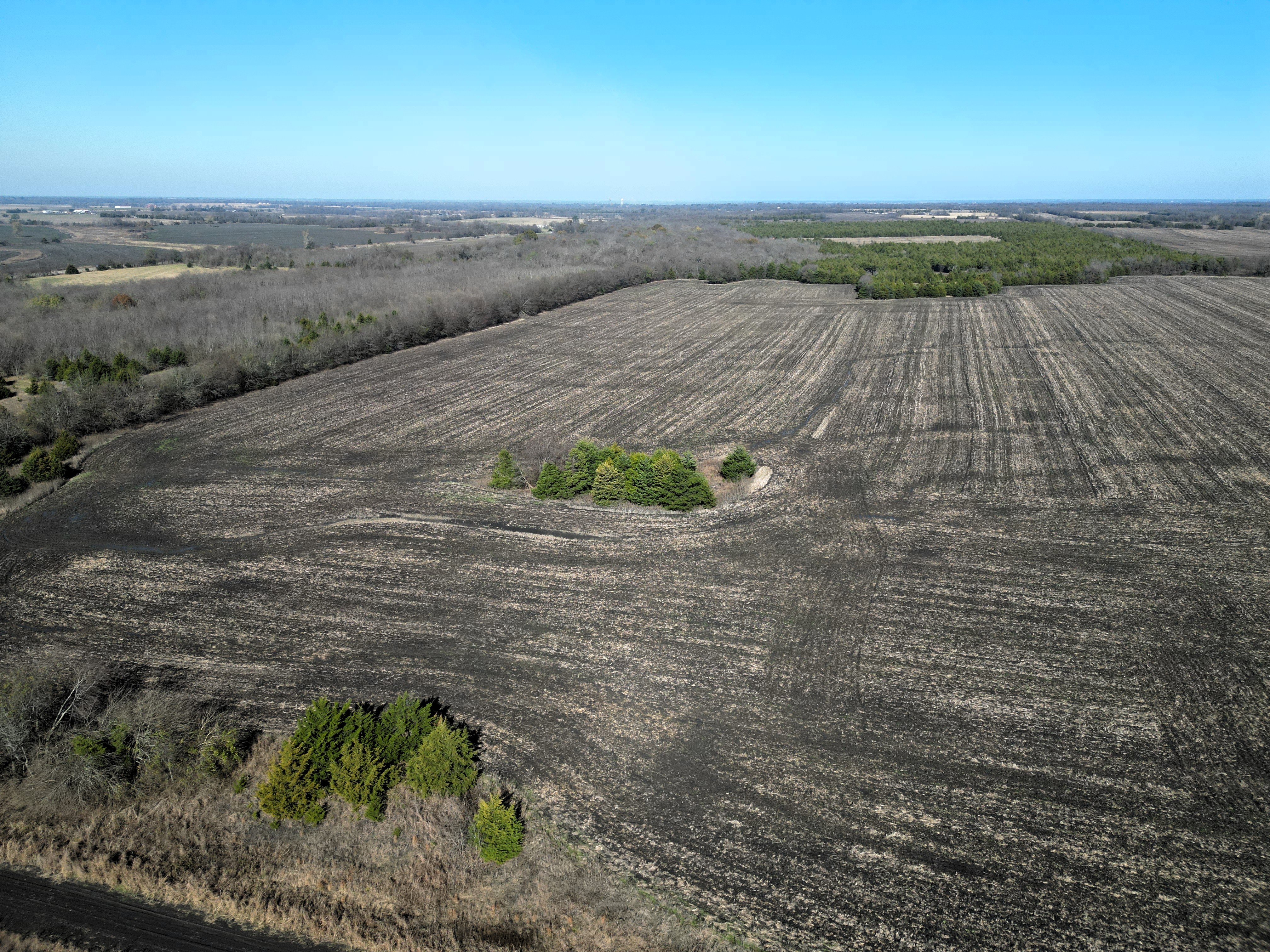 Commerce, Texas, 75428, United States, ,Land,For Sale,2001483