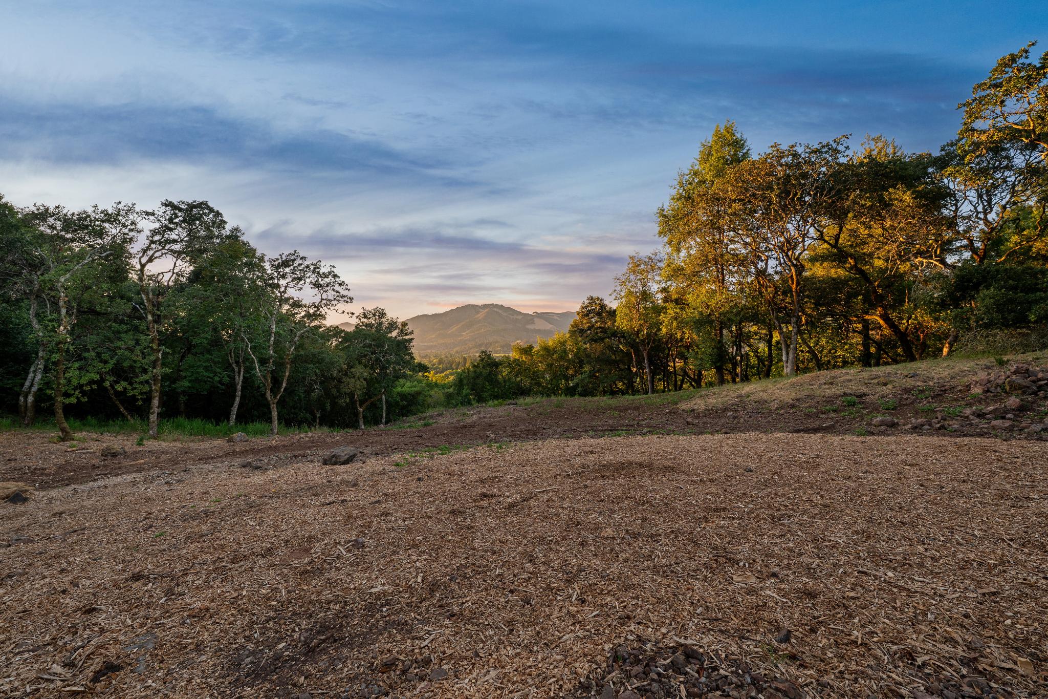  11420 White Fang Glen - 物件實景