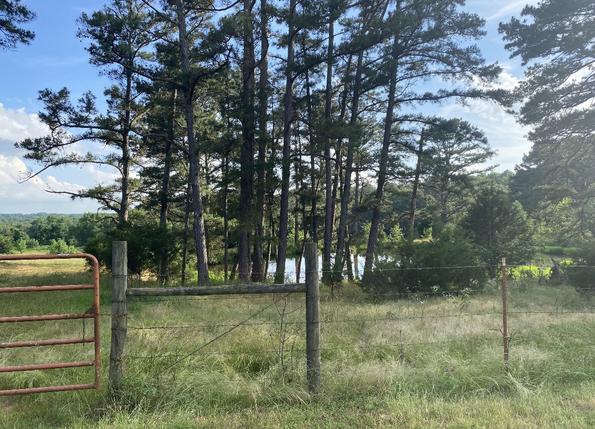 Clarksville, Arkansas, 72830, United States, 7 Bedrooms Bedrooms, ,3 BathroomsBathrooms,Residential,For Sale,2005713