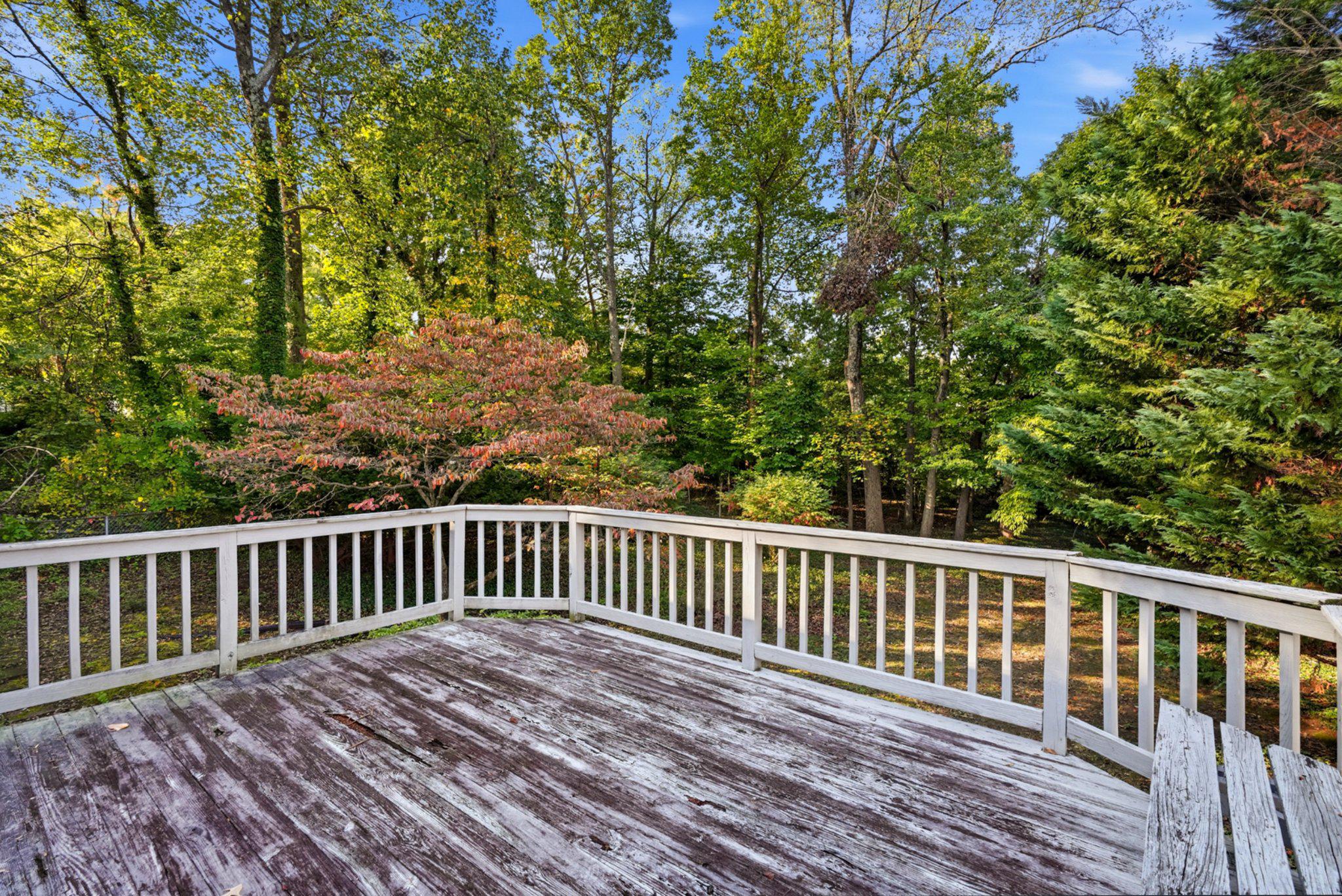  424 Halsey Road, Annapolis, MD, 21401 - 物件實景