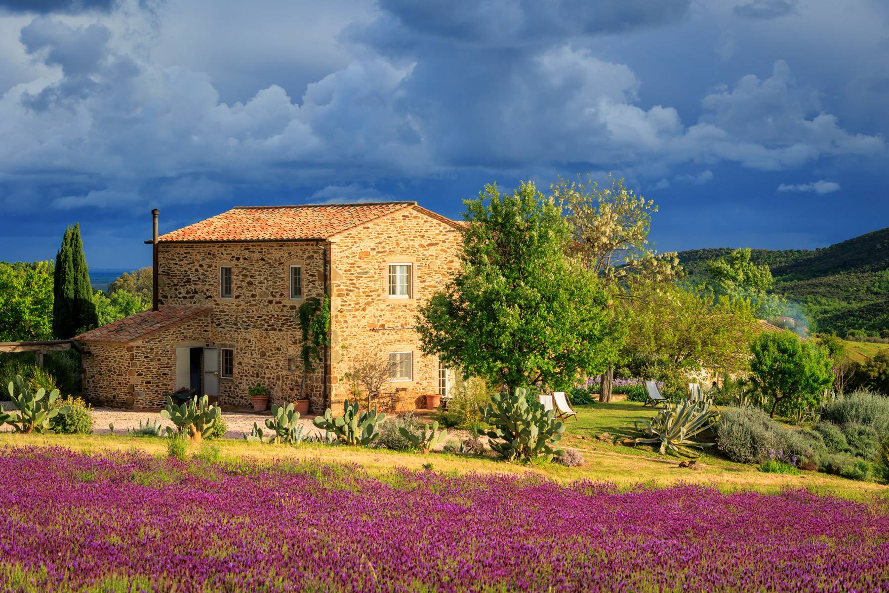 Magnificent estate close to Capalbio 